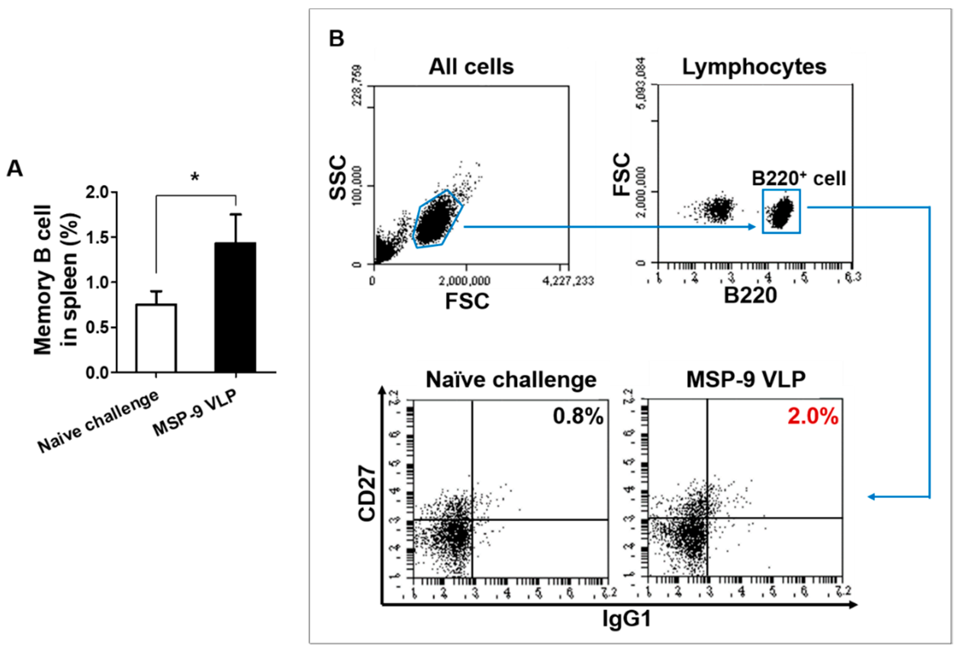 Vaccines 08 00428 g005 Vaccines 08 00428 g005