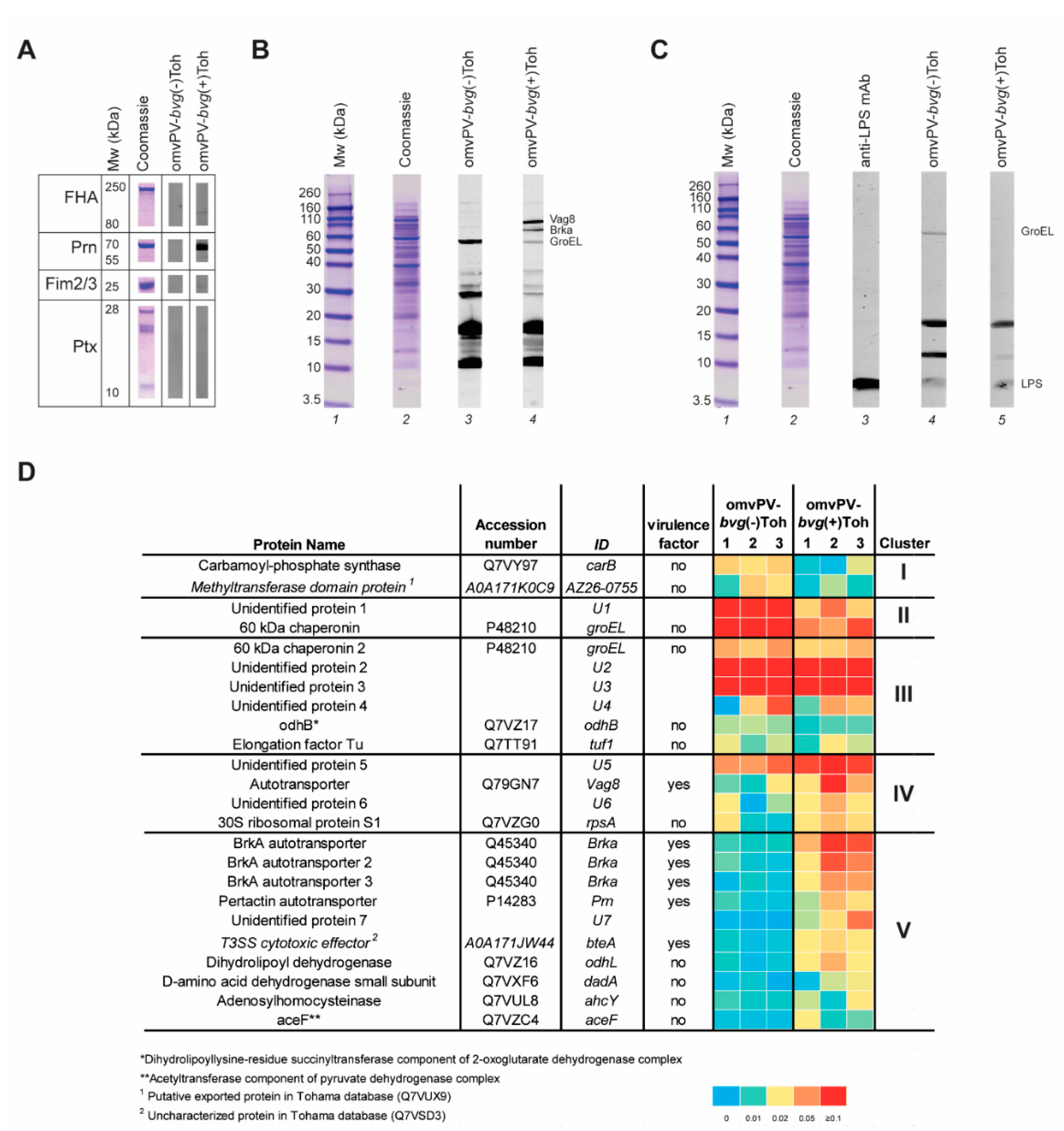 Vaccines 08 00429 g004 Vaccines 08 00429 g004