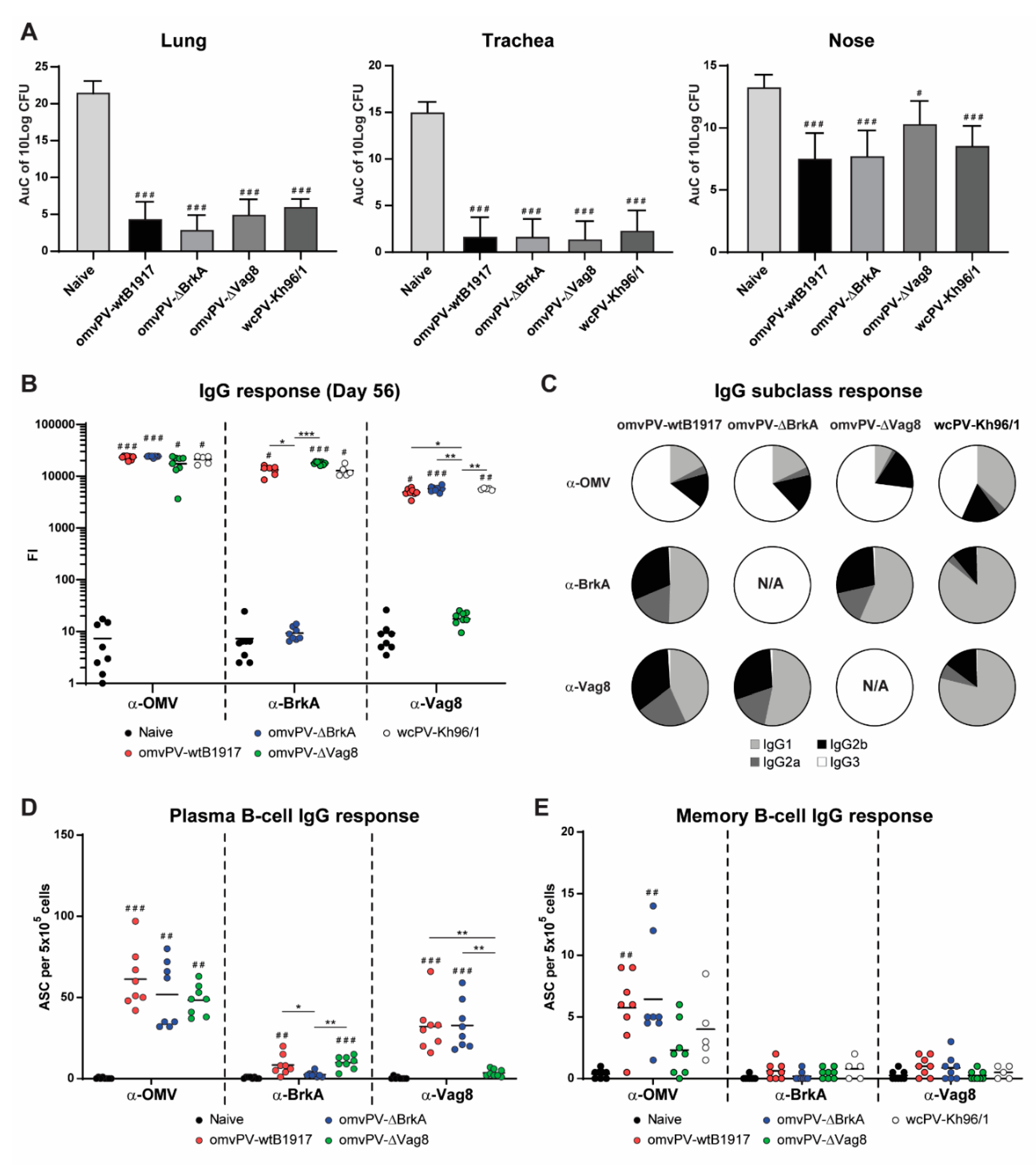 Vaccines 08 00429 g005 Vaccines 08 00429 g005