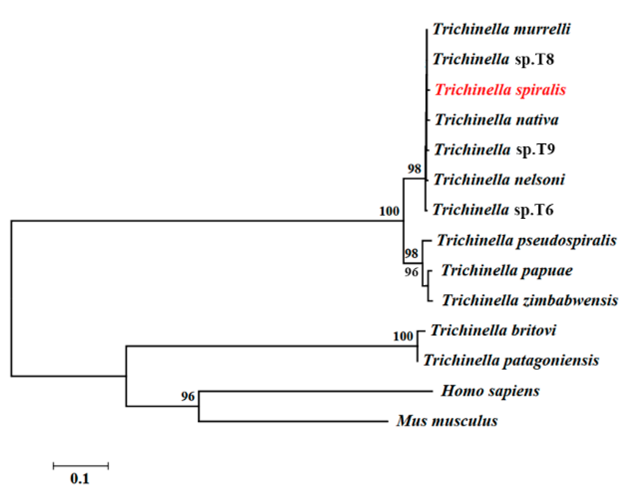 Vaccines 08 00437 g003 Vaccines 08 00437 g003