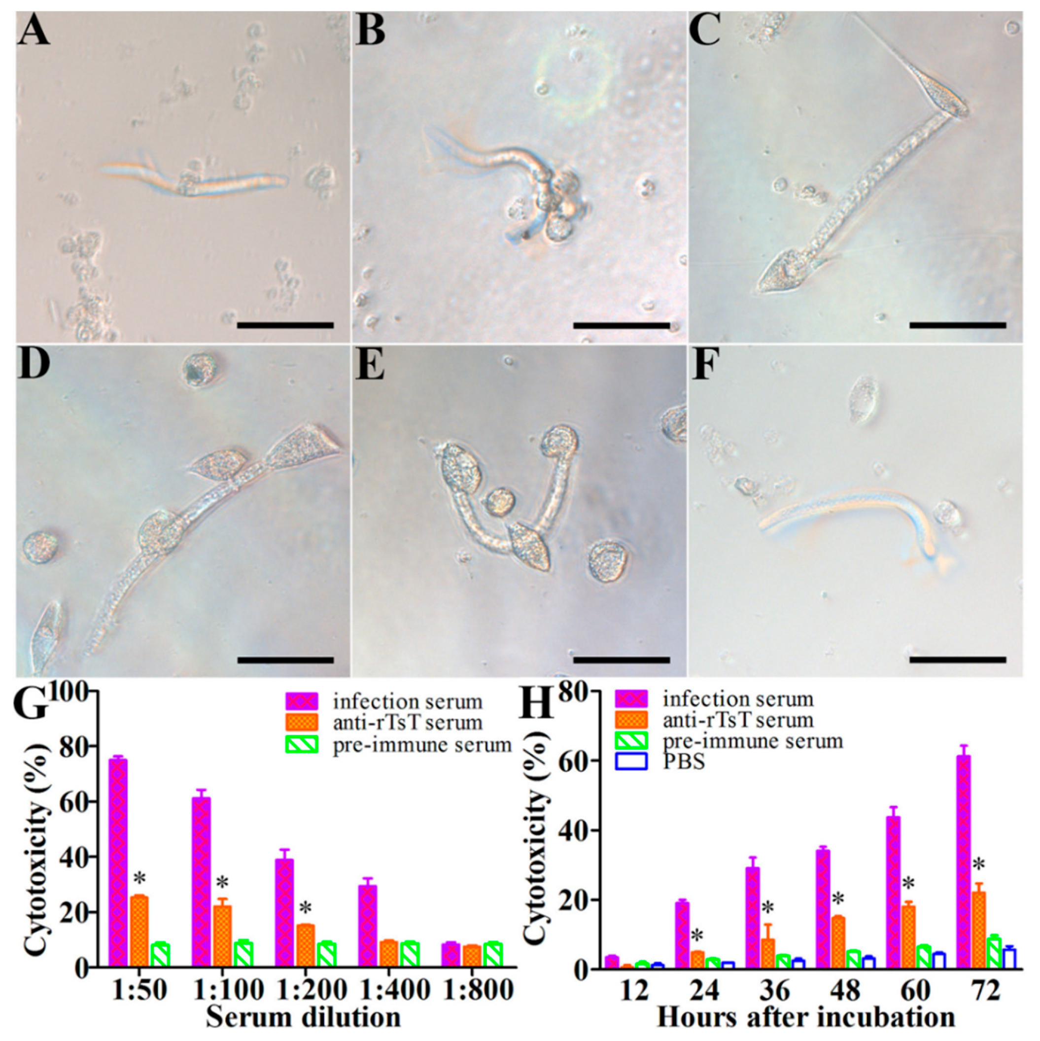 Vaccines 08 00437 g012 Vaccines 08 00437 g012