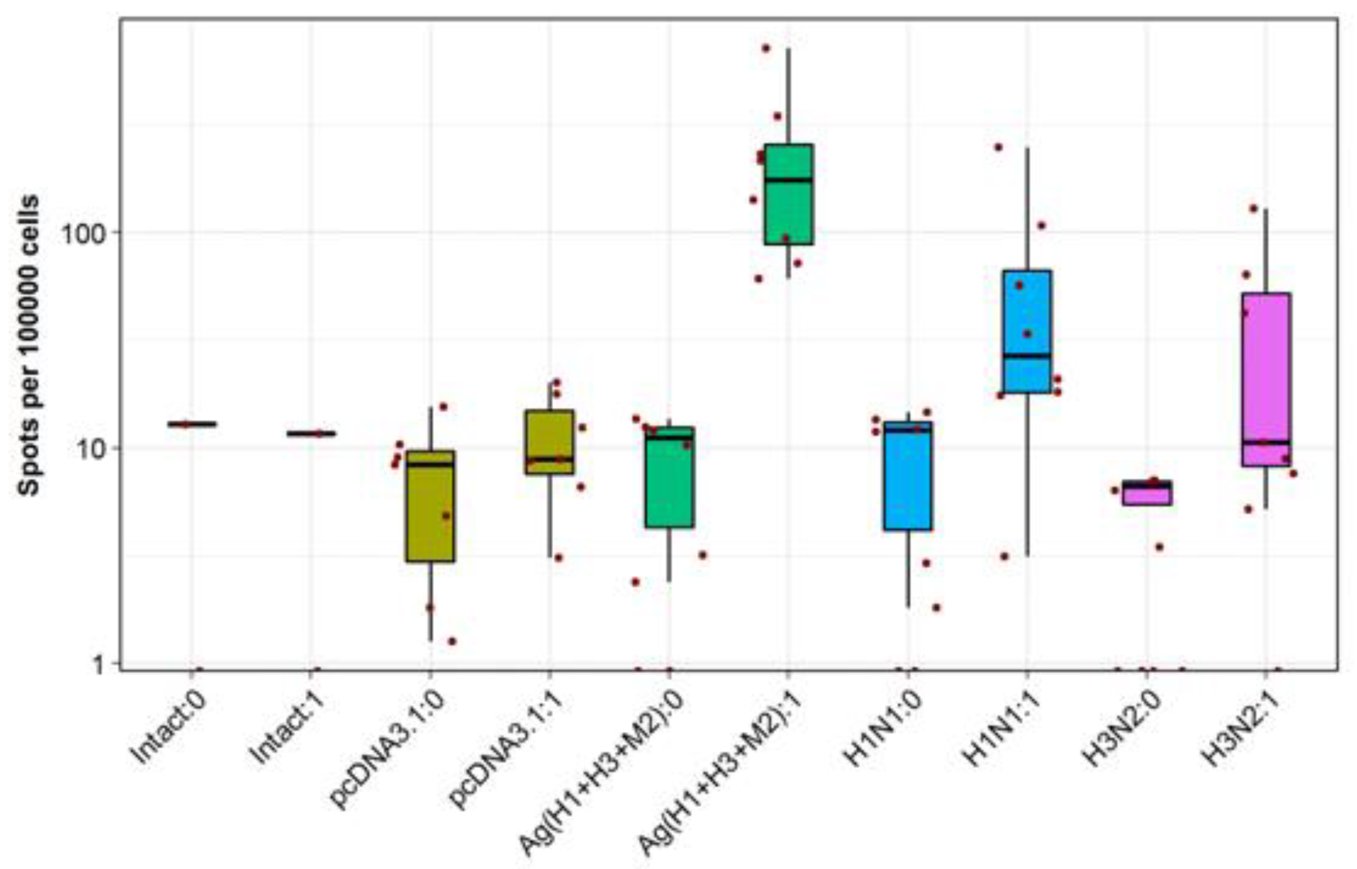 Vaccines 08 00448 g007 Vaccines 08 00448 g007