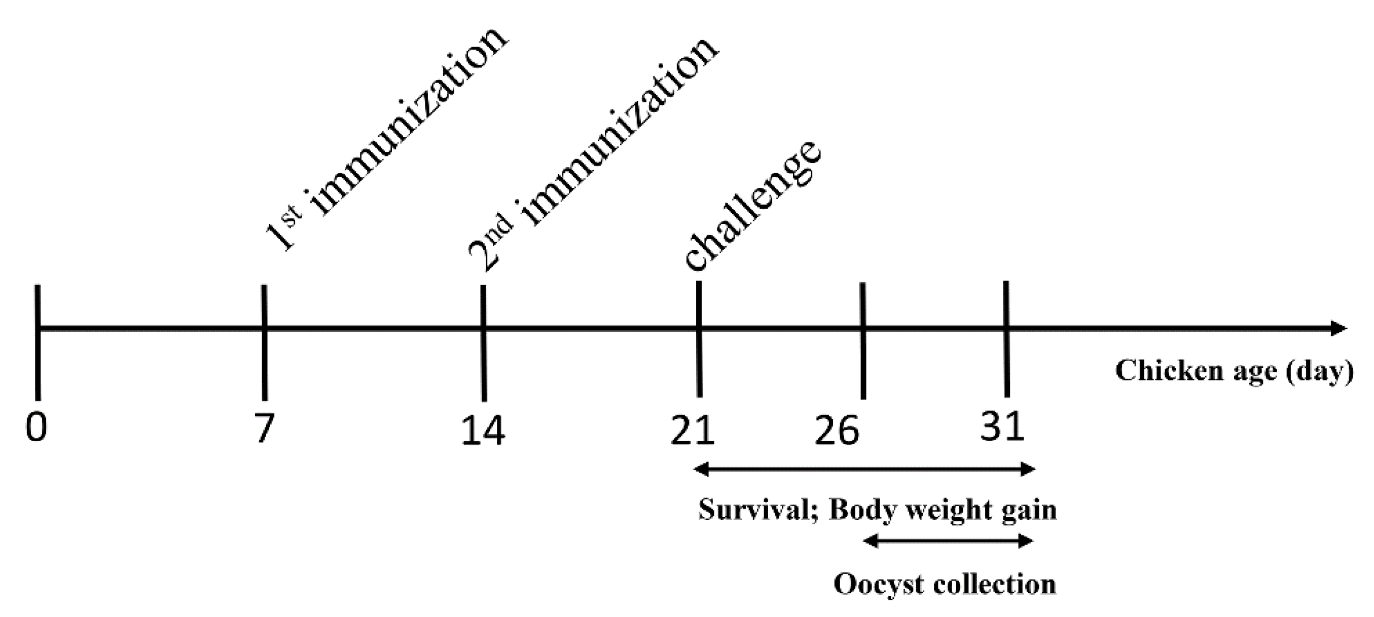 Vaccines 08 00452 g001 Vaccines 08 00452 g001