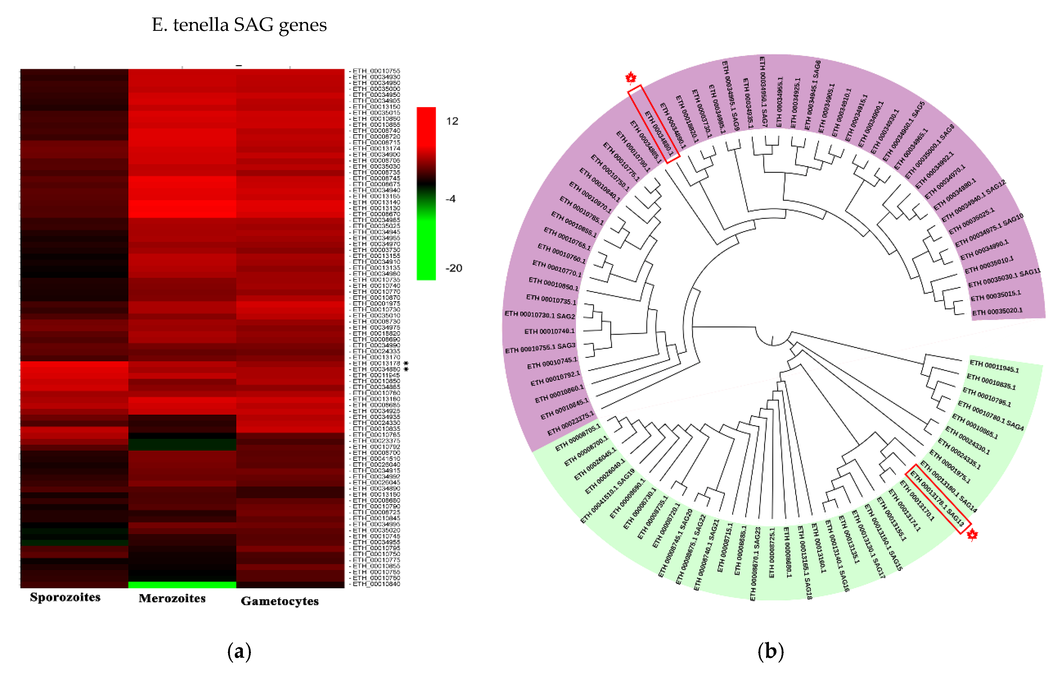 Vaccines 08 00452 g002 Vaccines 08 00452 g002