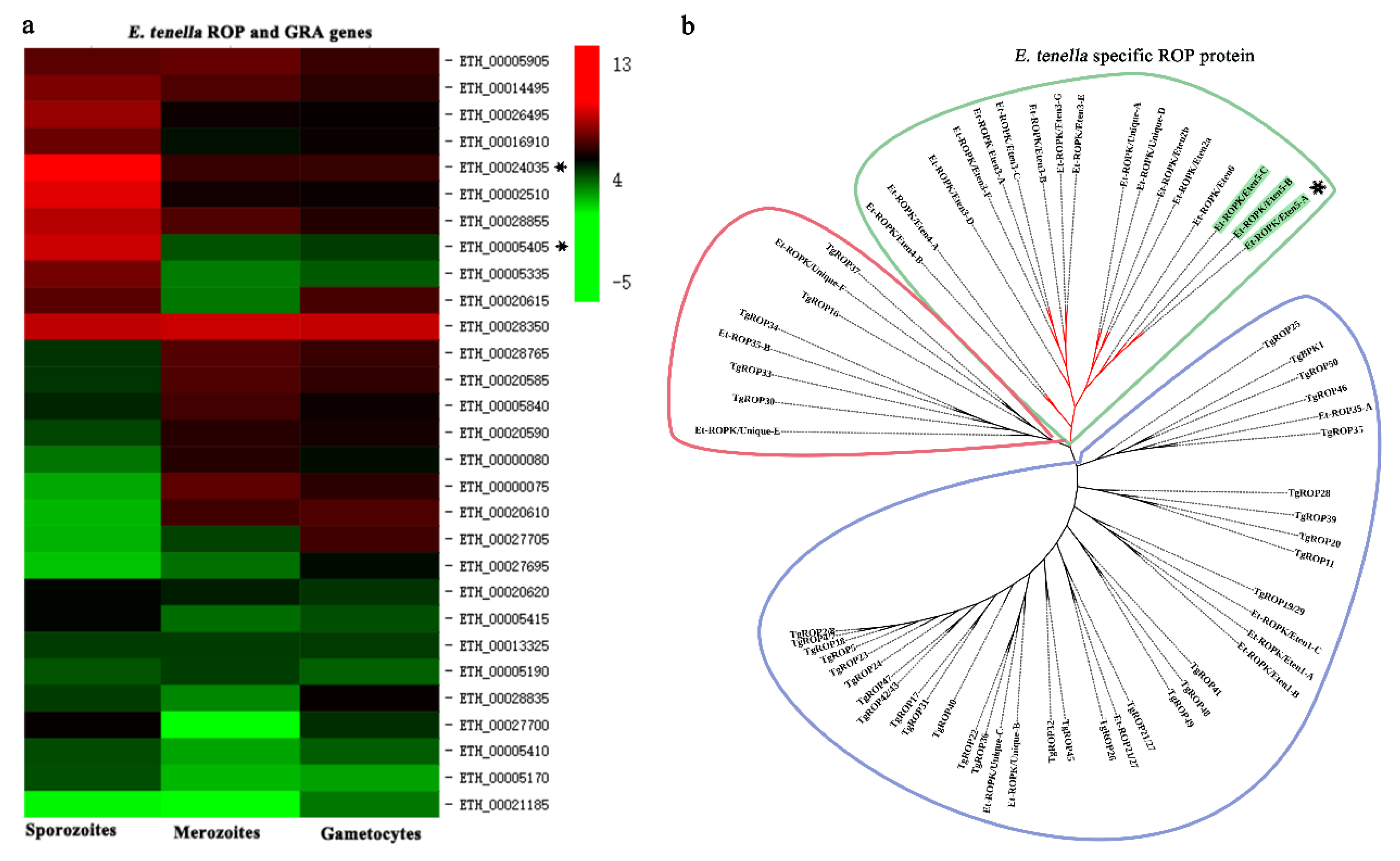 Vaccines 08 00452 g003 Vaccines 08 00452 g003