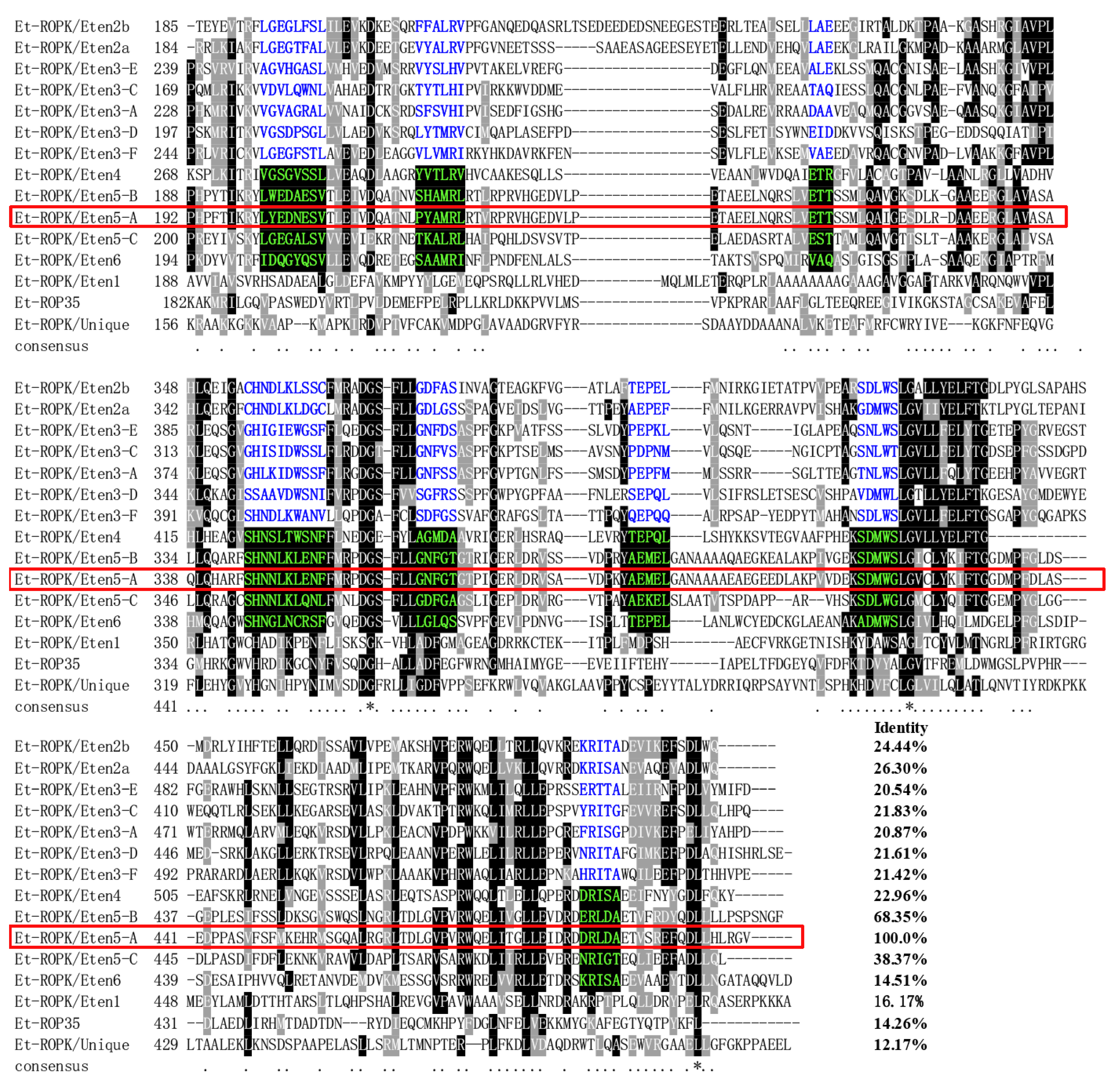 Vaccines 08 00452 g004 Vaccines 08 00452 g004