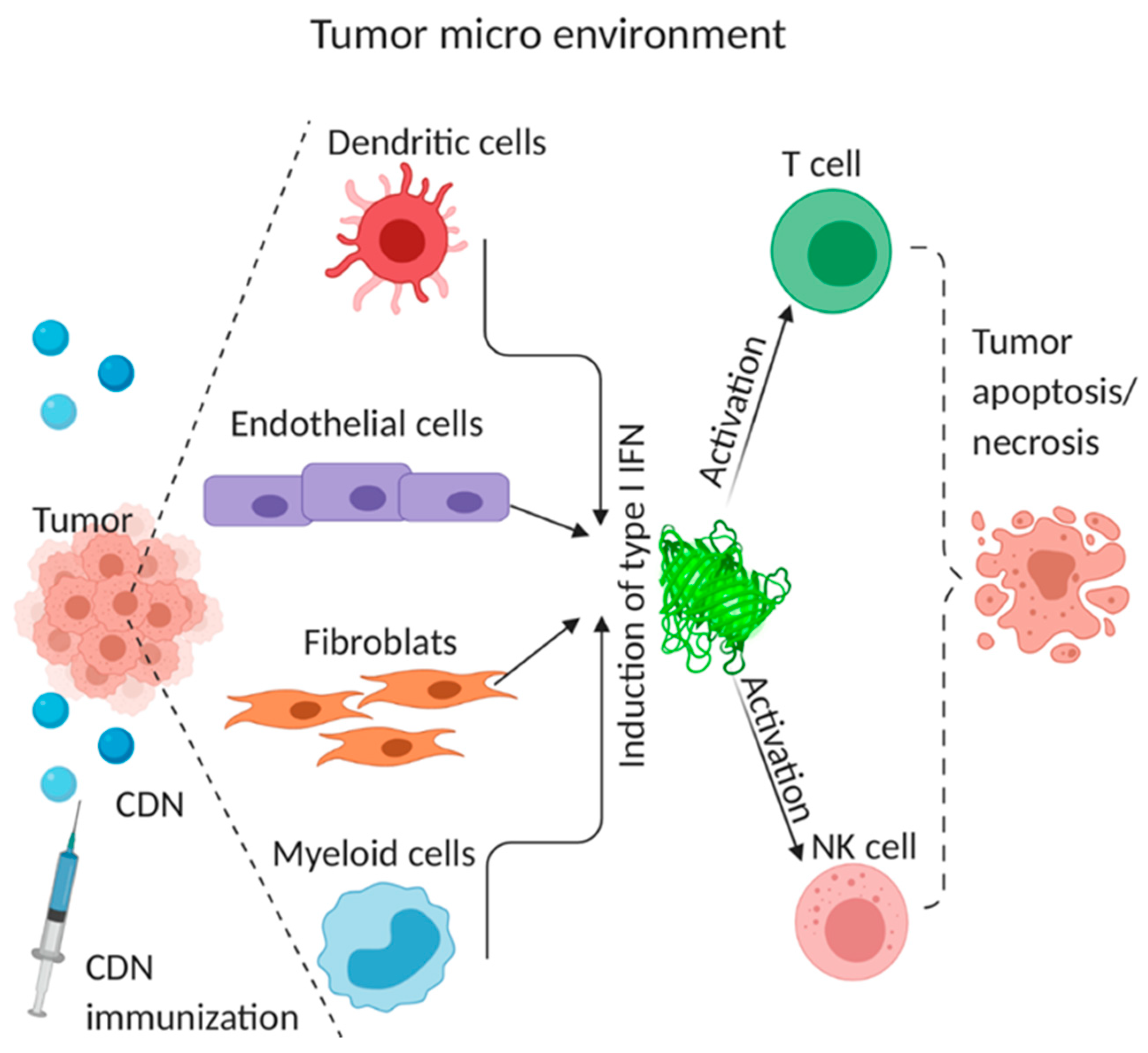 Vaccines 08 00453 g003 Vaccines 08 00453 g003