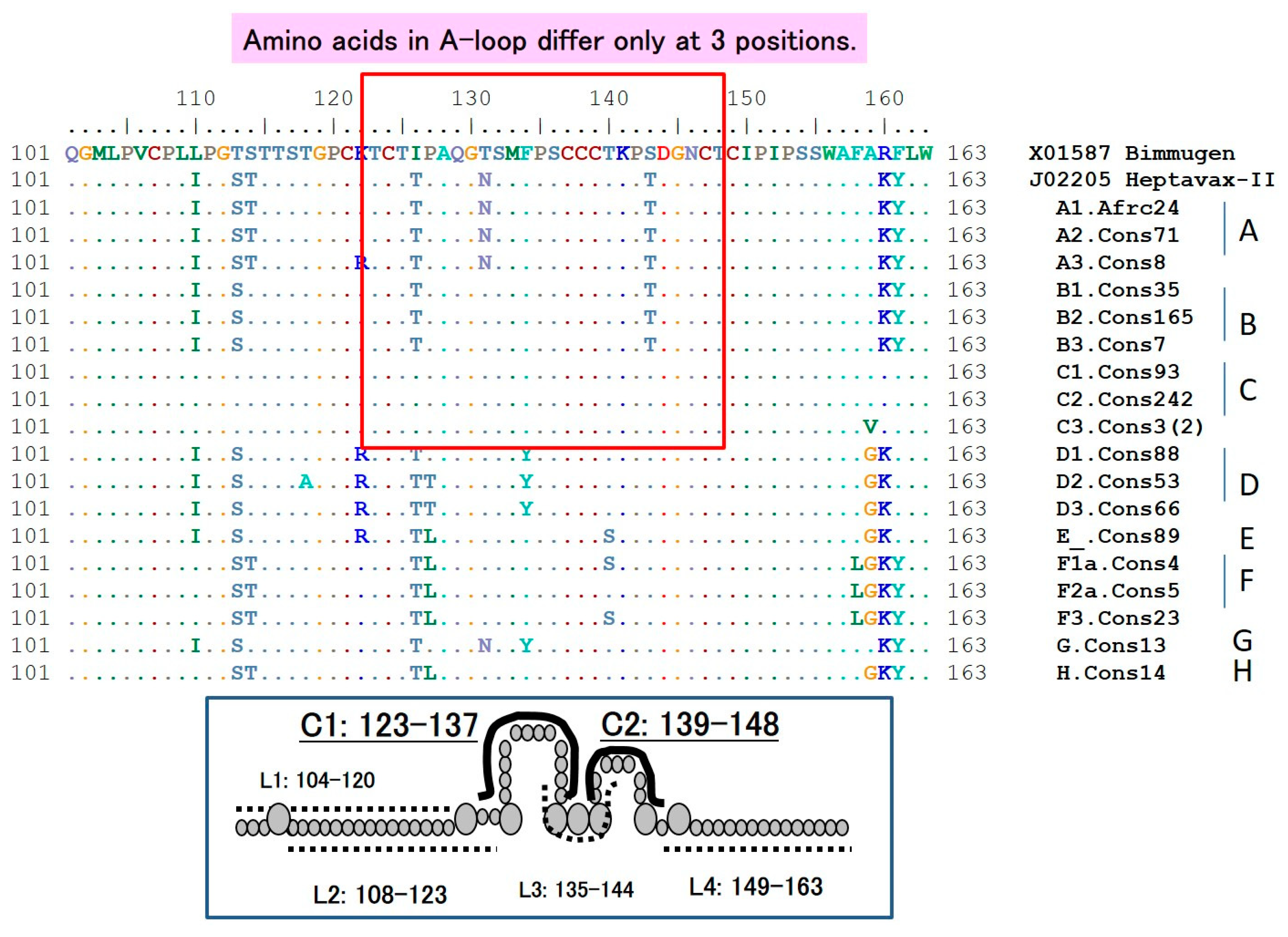 Vaccines 08 00456 g002