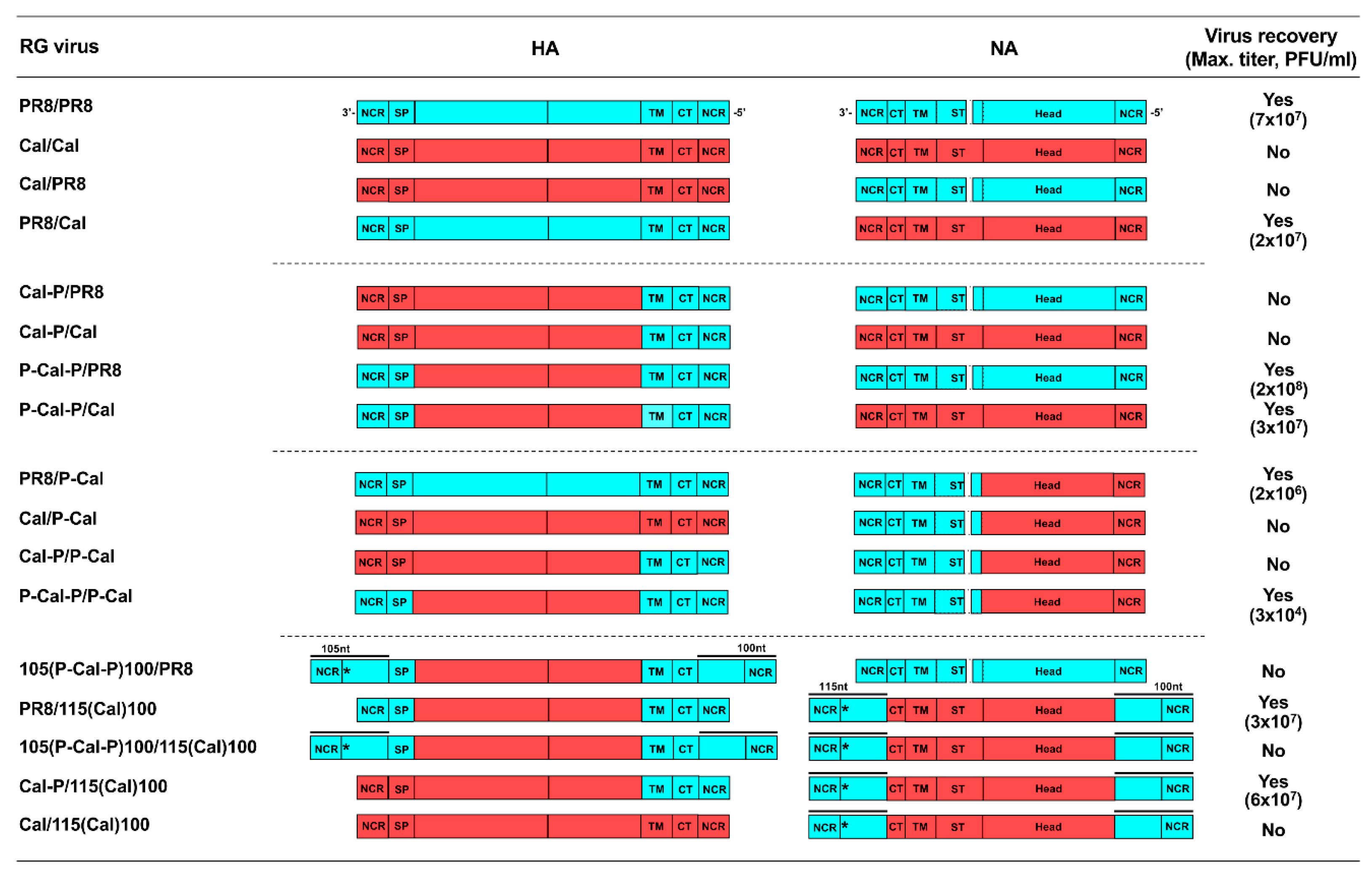 Vaccines 08 00458 g002 Vaccines 08 00458 g002