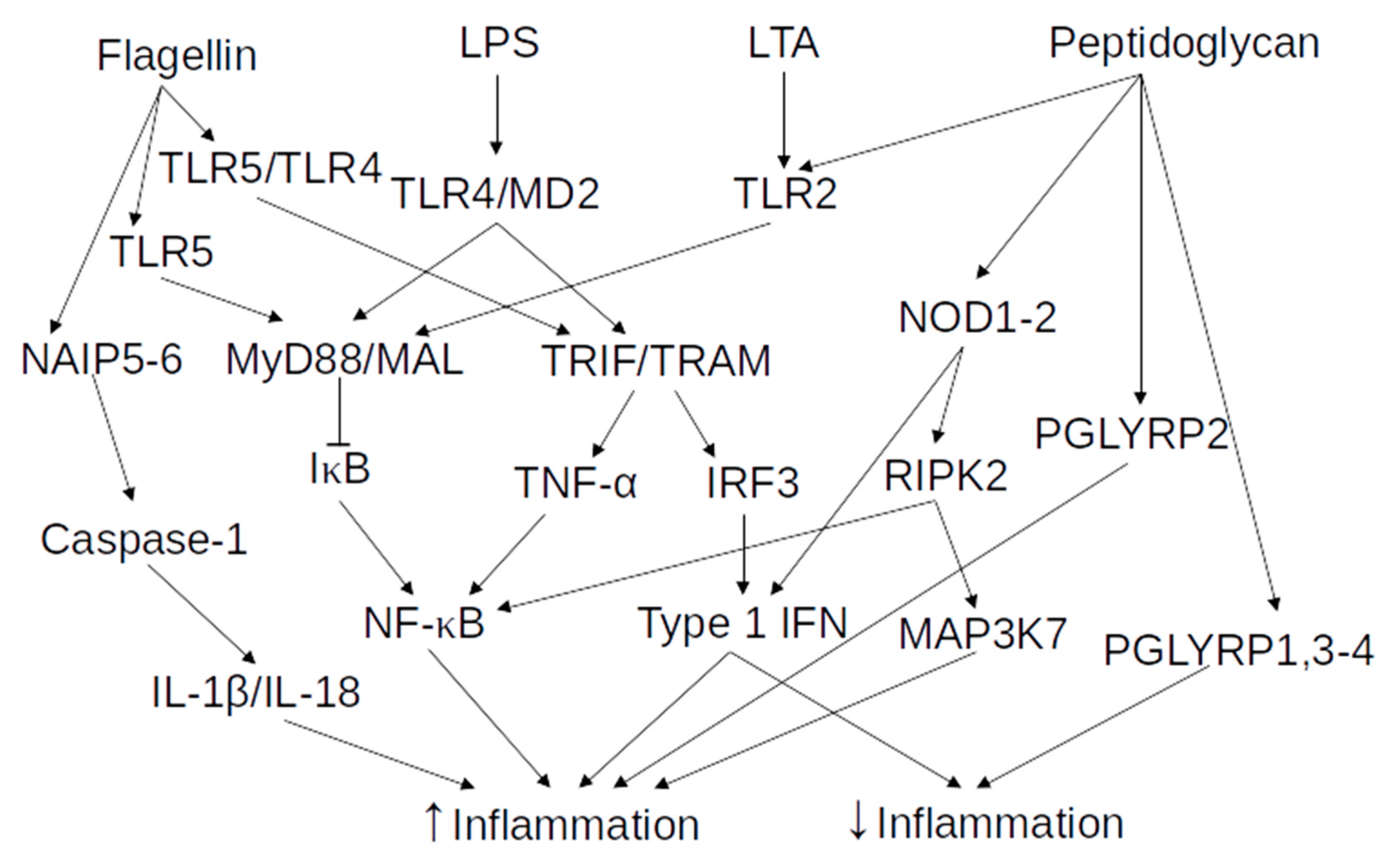 Vaccines 08 00461 g002 Vaccines 08 00461 g002