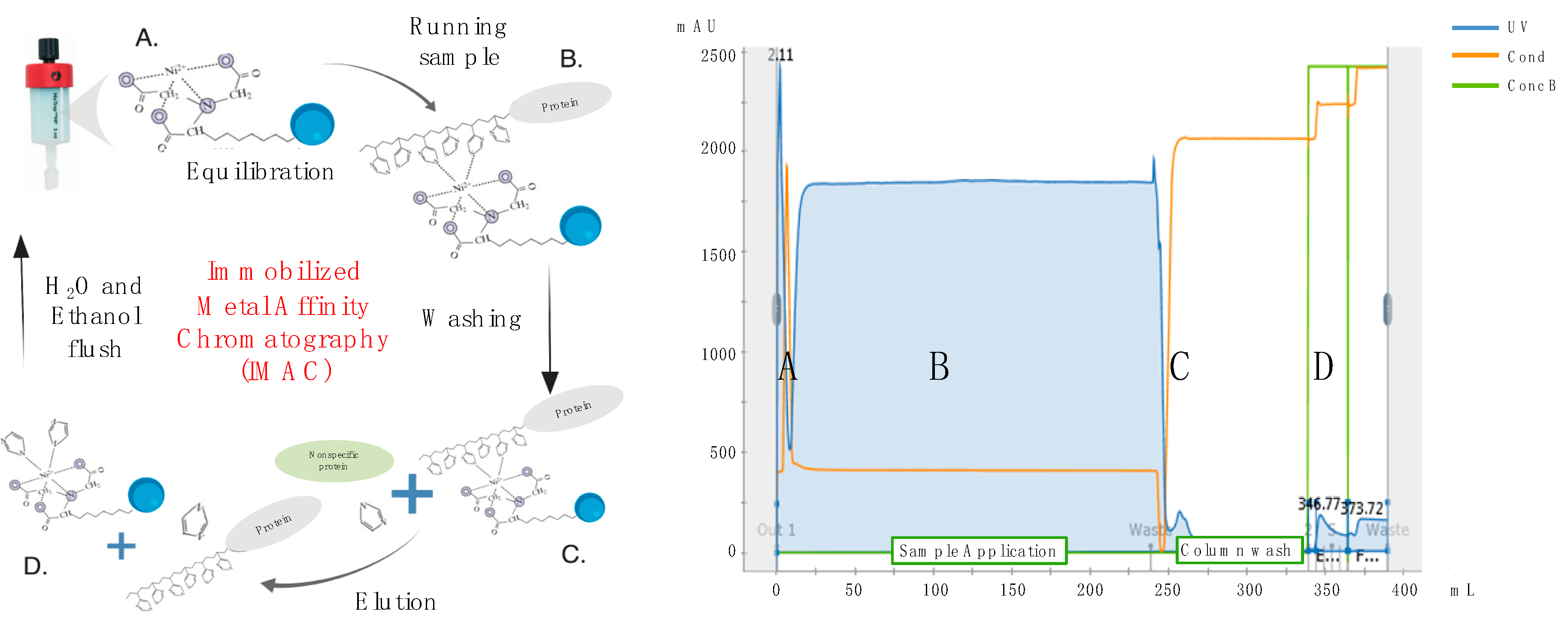 Vaccines 08 00462 g003