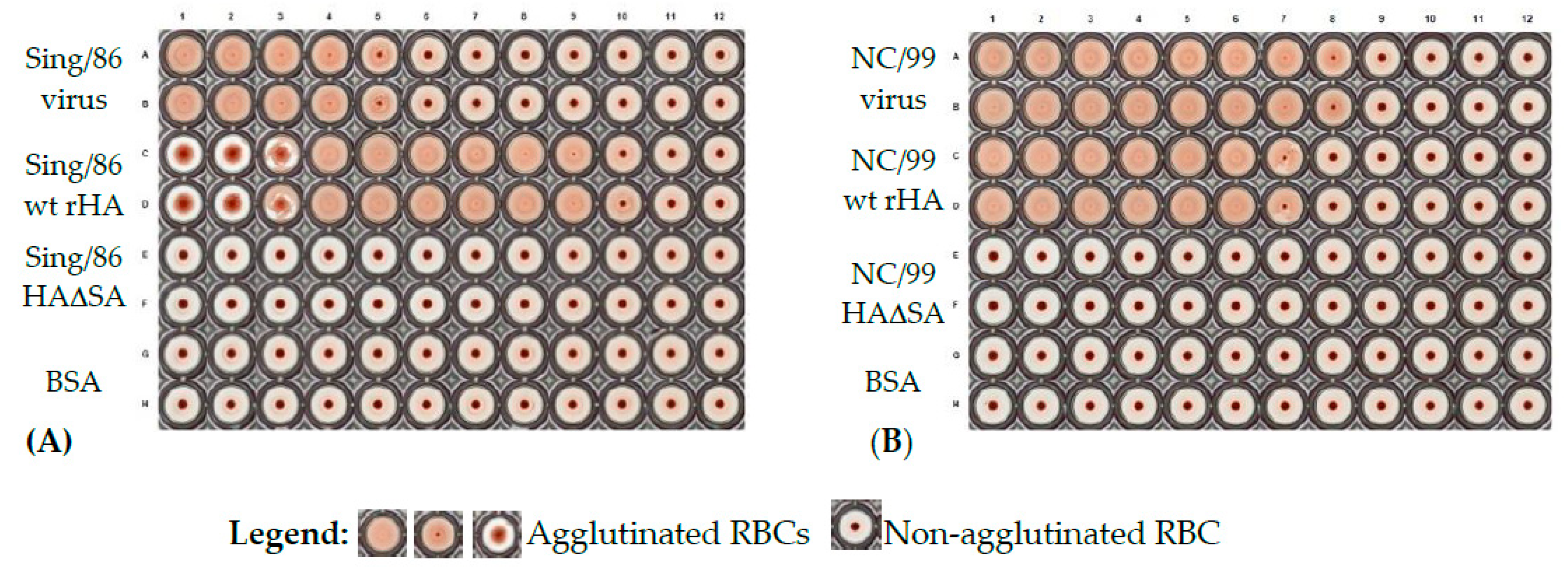 Vaccines 08 00462 g006