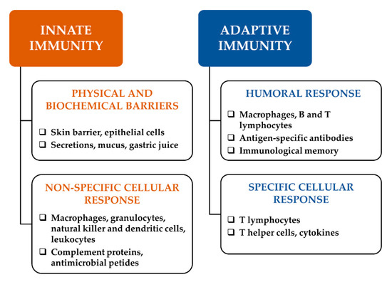 basic immunology abbas google books
