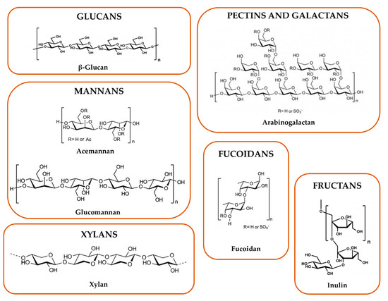 Polysaccharides from Spores of Cordyceps cicadae Protect