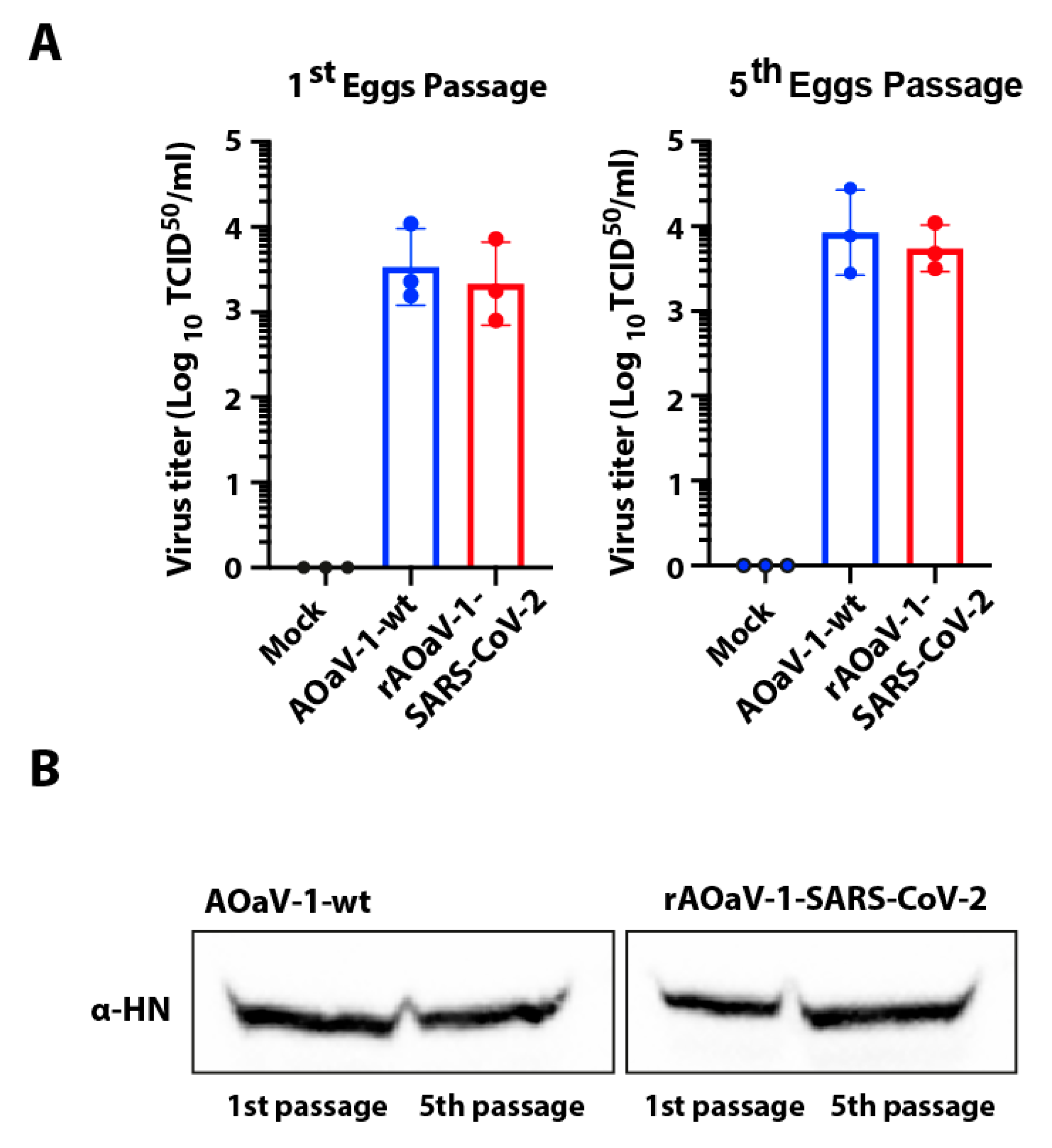 Vaccines 08 00472 g005