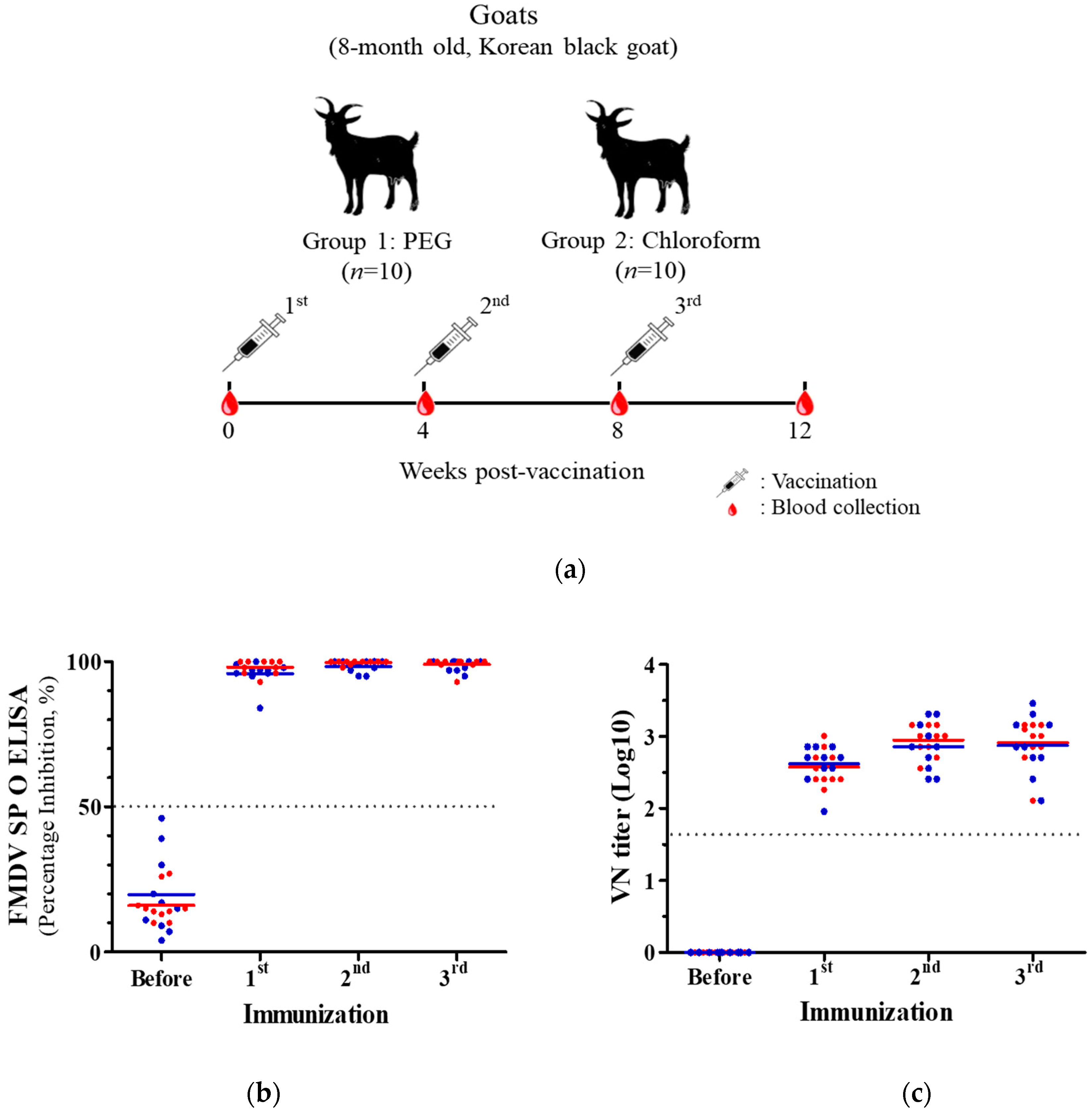 Vaccines 08 00483 g003a Vaccines 08 00483 g003a