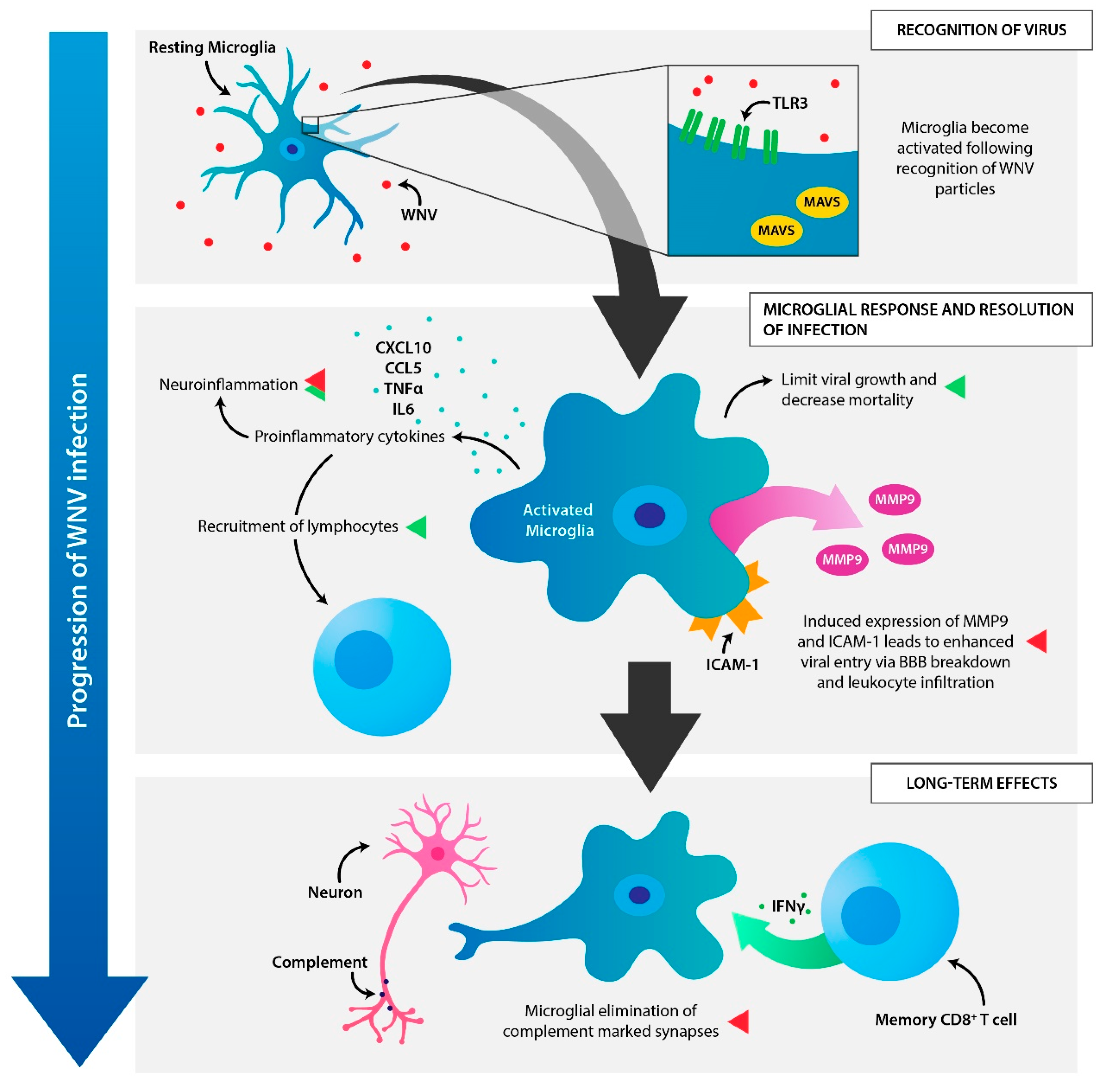 Vaccines 08 00485 g002 Vaccines 08 00485 g002