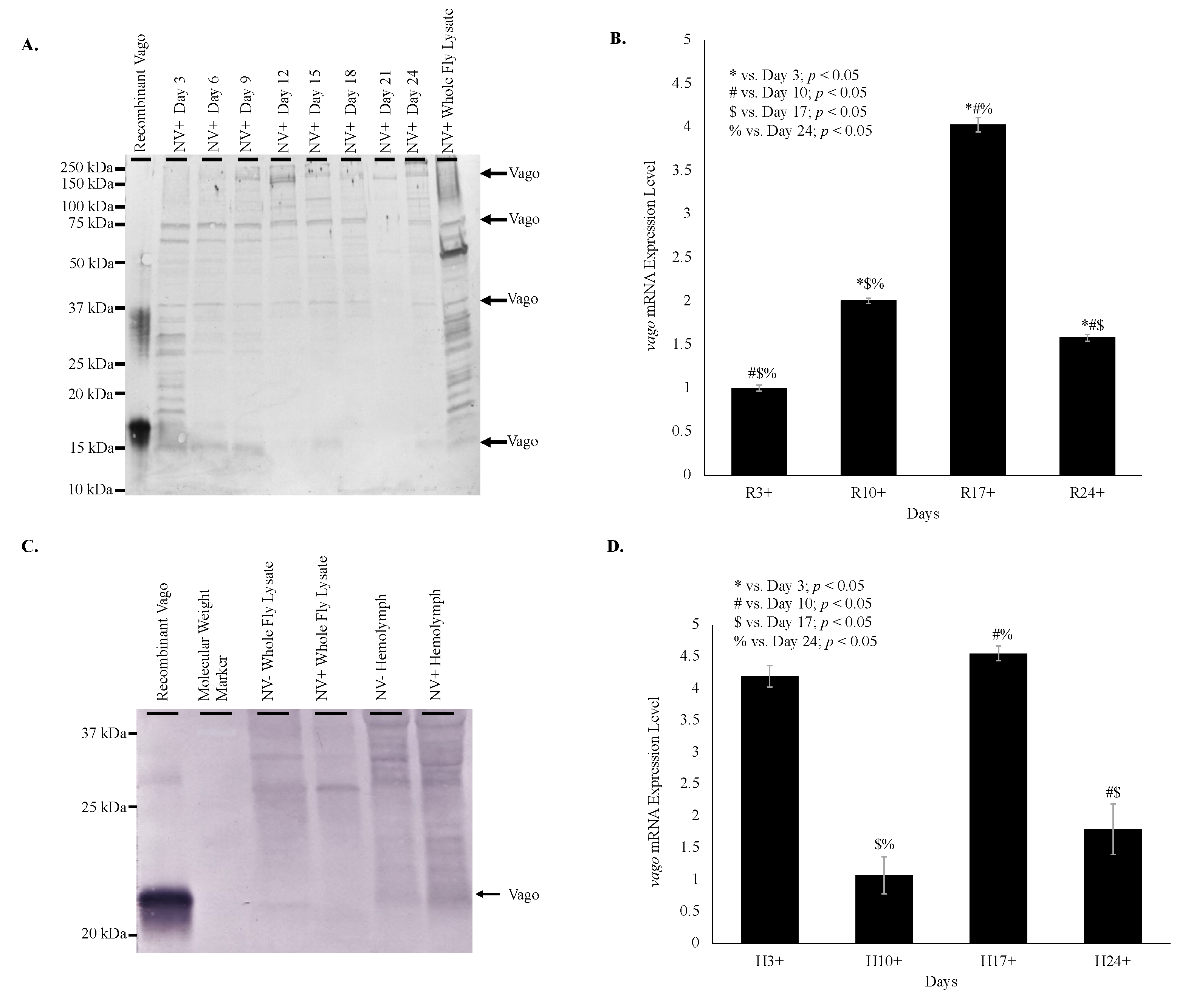 Vaccines 08 00491 g003
