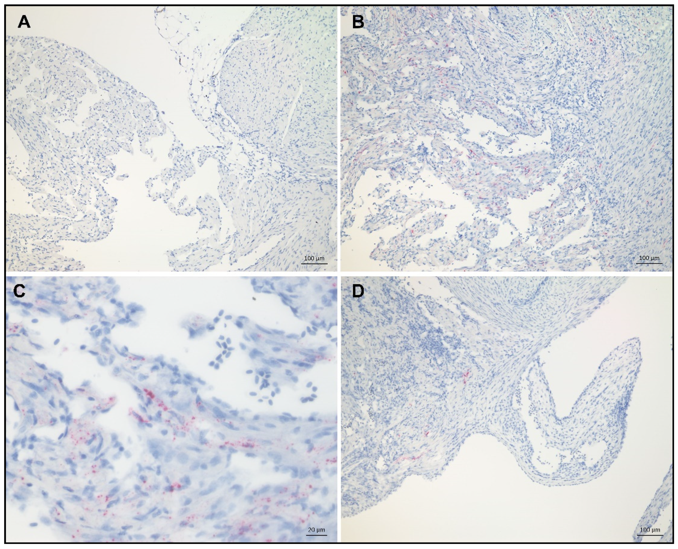 Vaccines 08 00493 g003