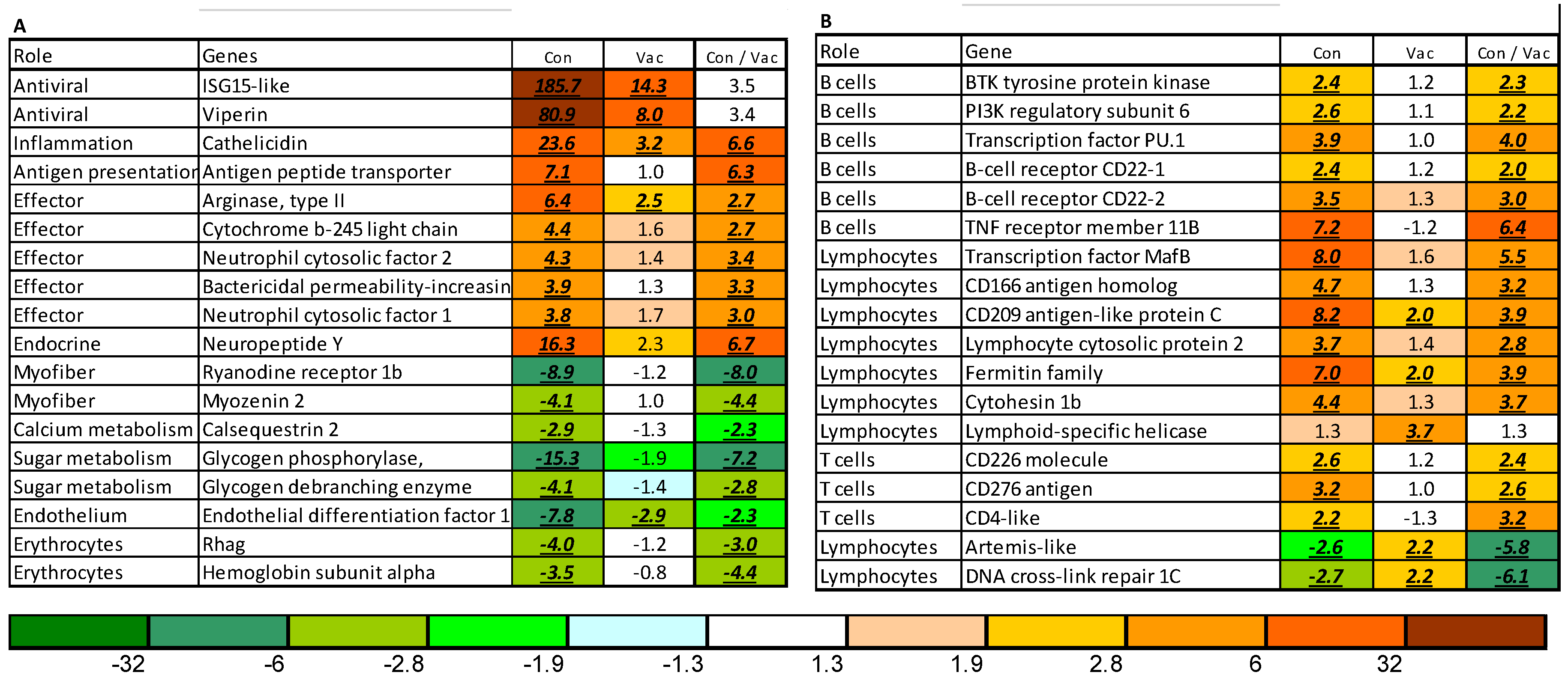 Vaccines 08 00493 g006