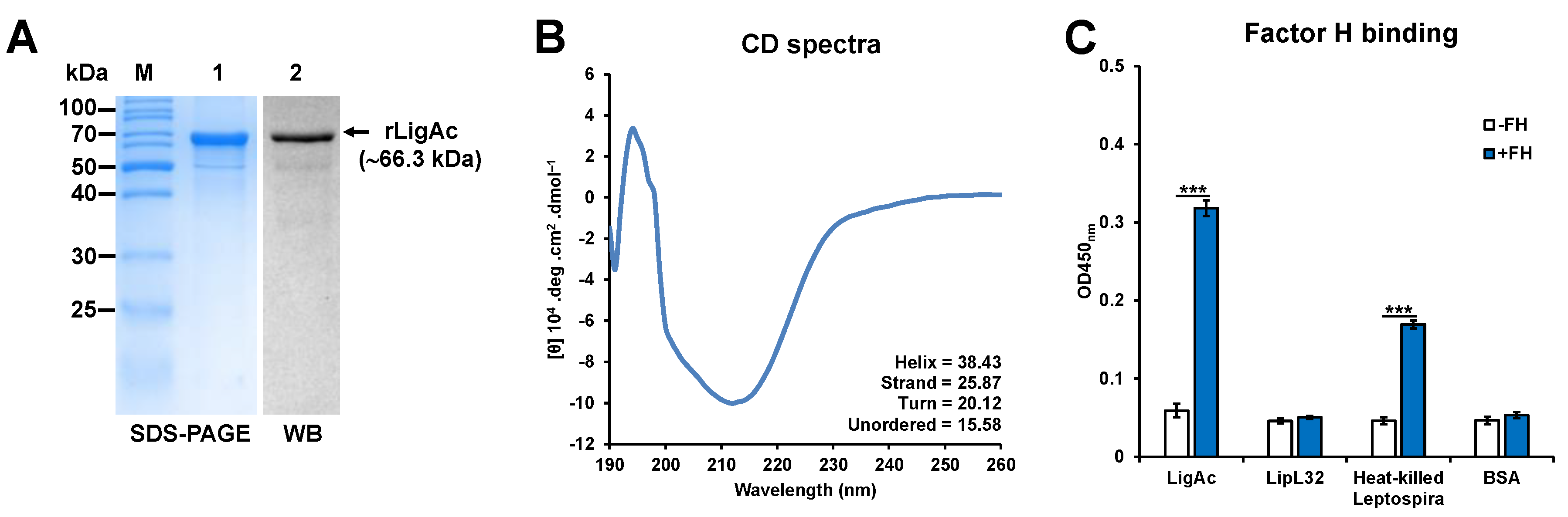 Vaccines 08 00494 g001
