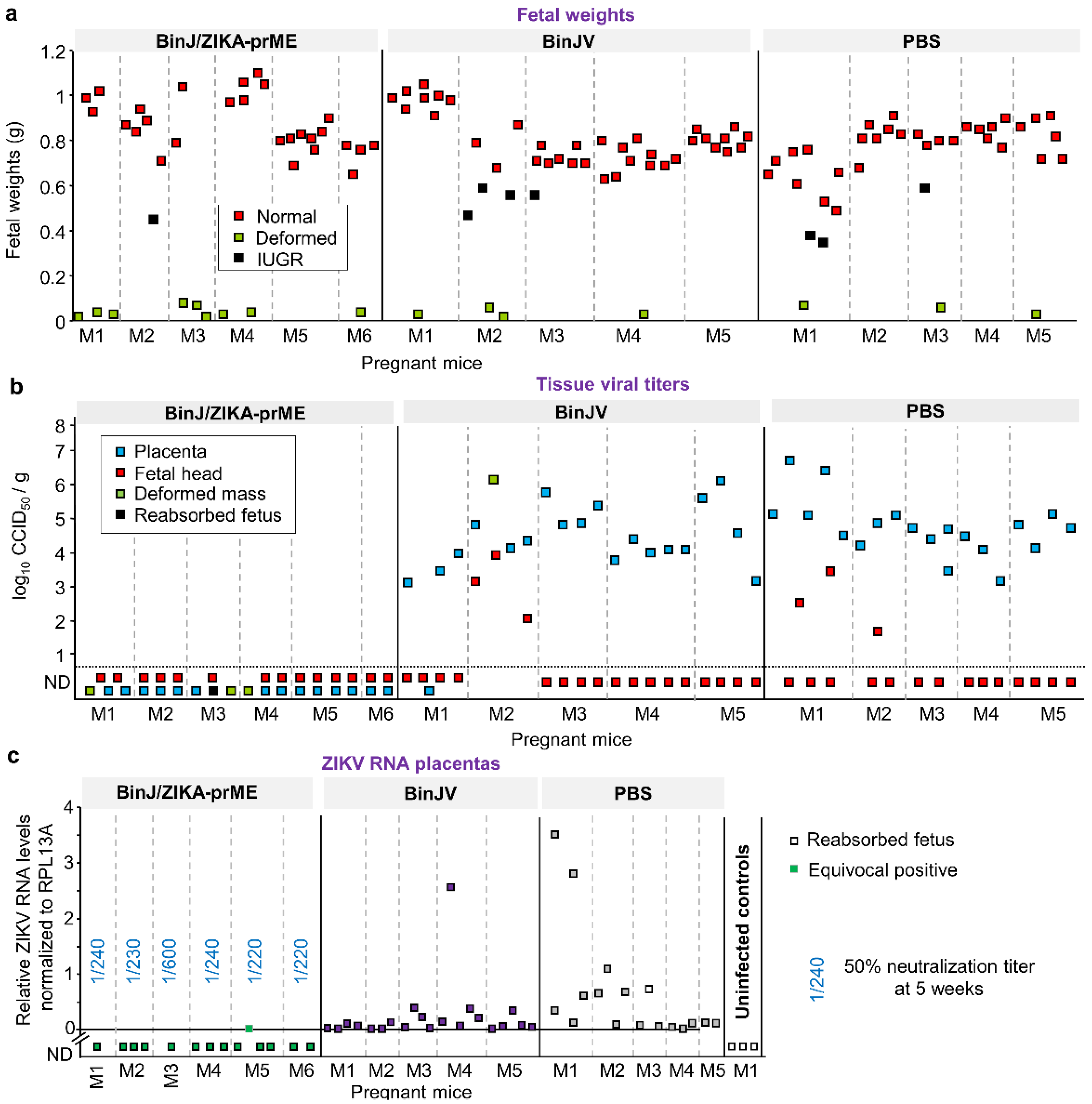 Vaccines 08 00496 g002a Vaccines 08 00496 g002a
