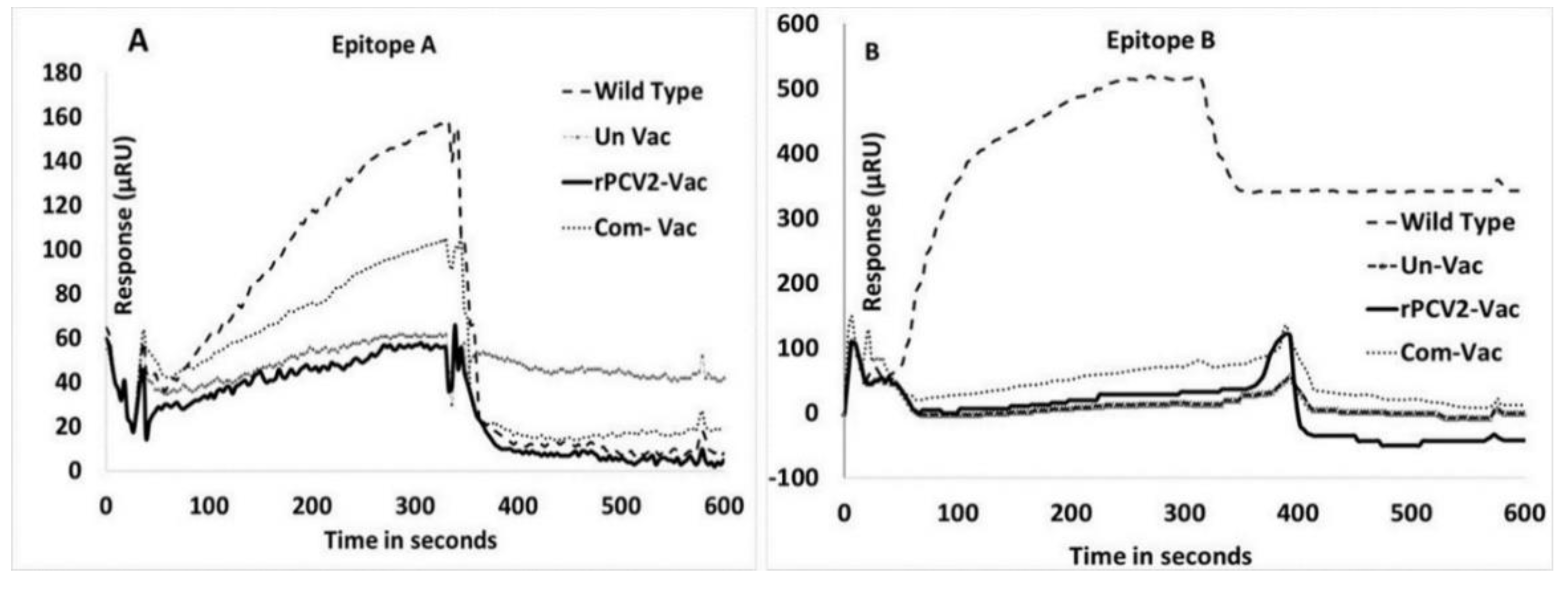 Vaccines 08 00506 g005