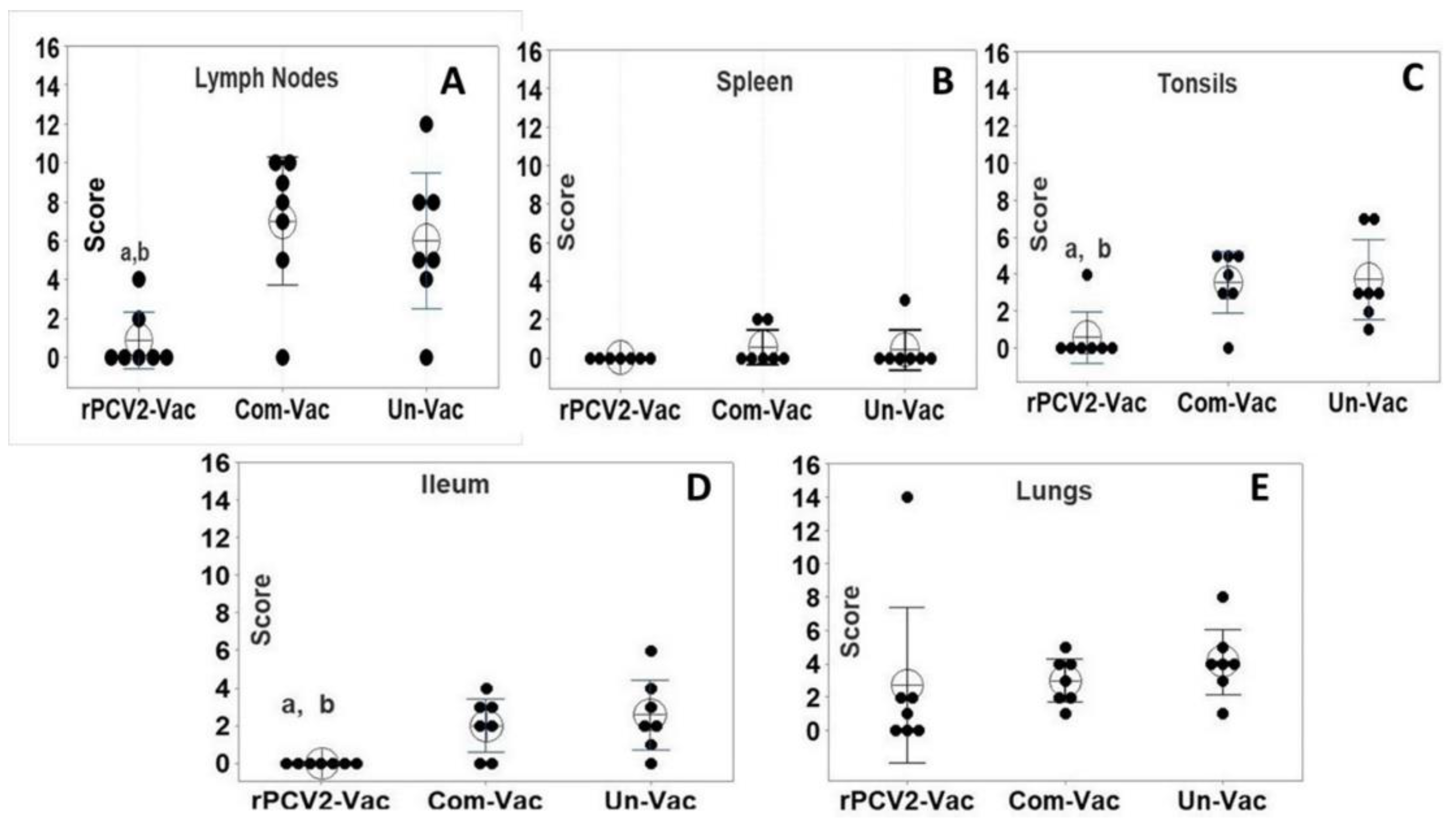 Vaccines 08 00506 g008