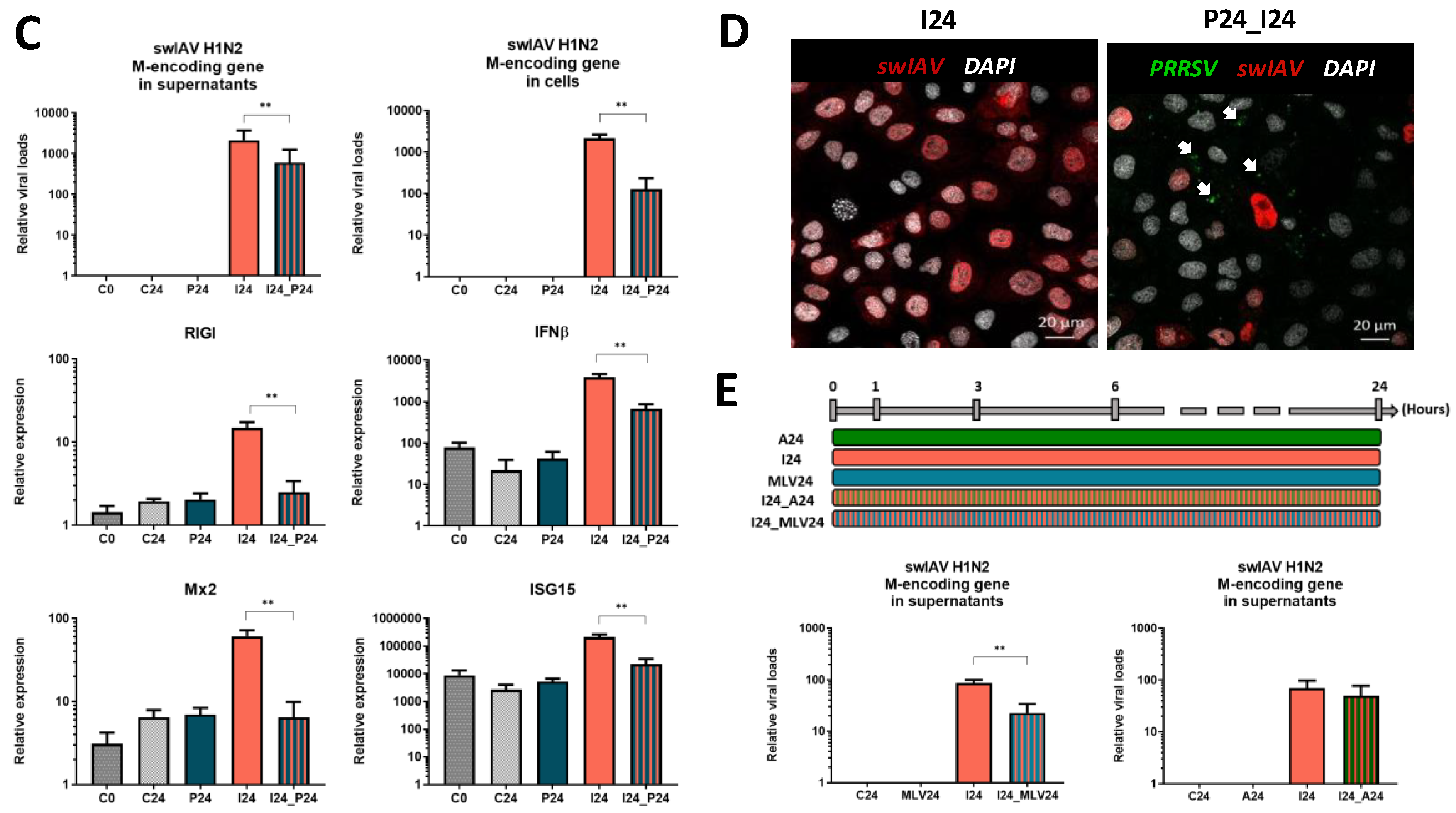 Vaccines 08 00508 g001b Vaccines 08 00508 g001b