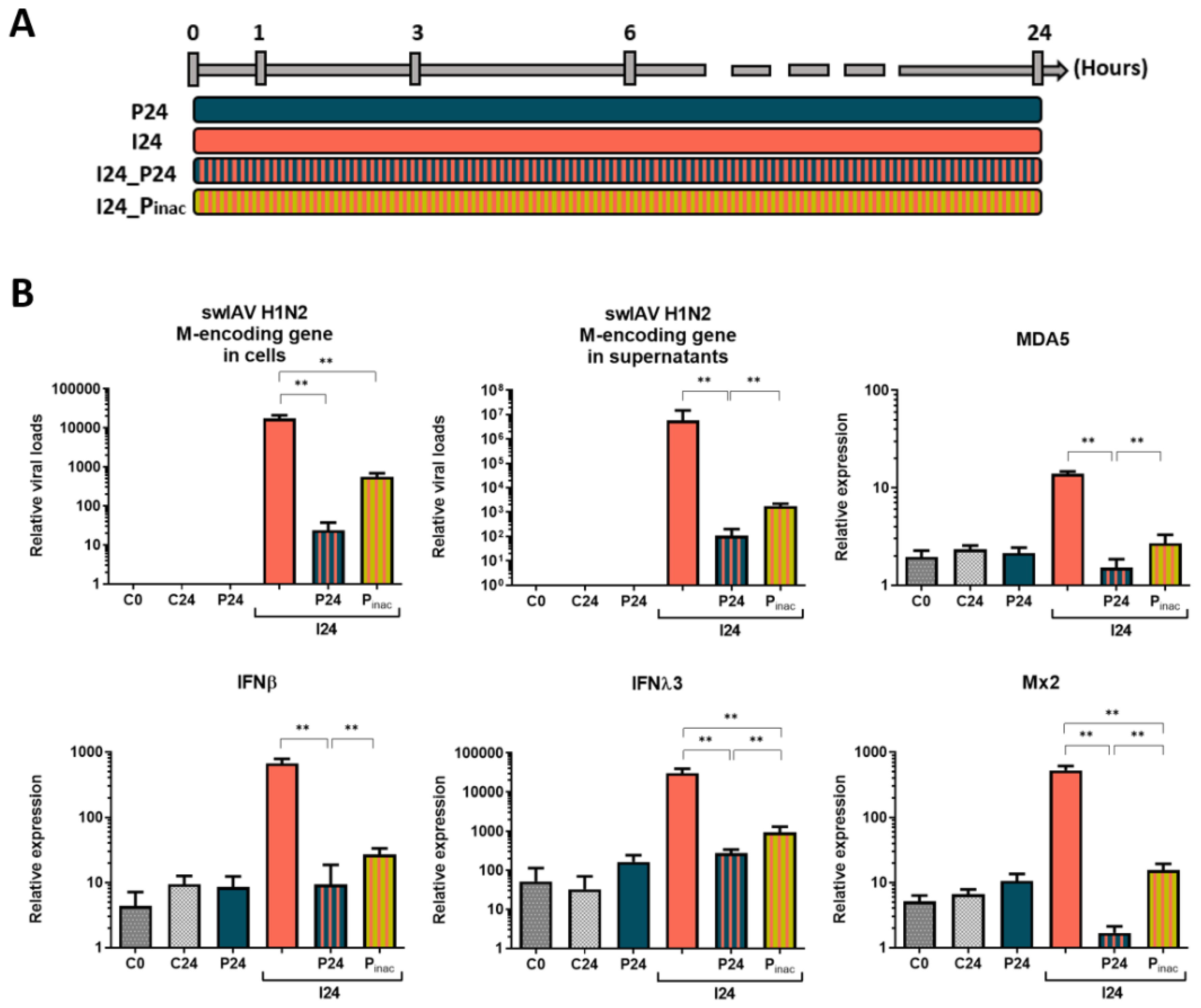 Vaccines 08 00508 g004 Vaccines 08 00508 g004