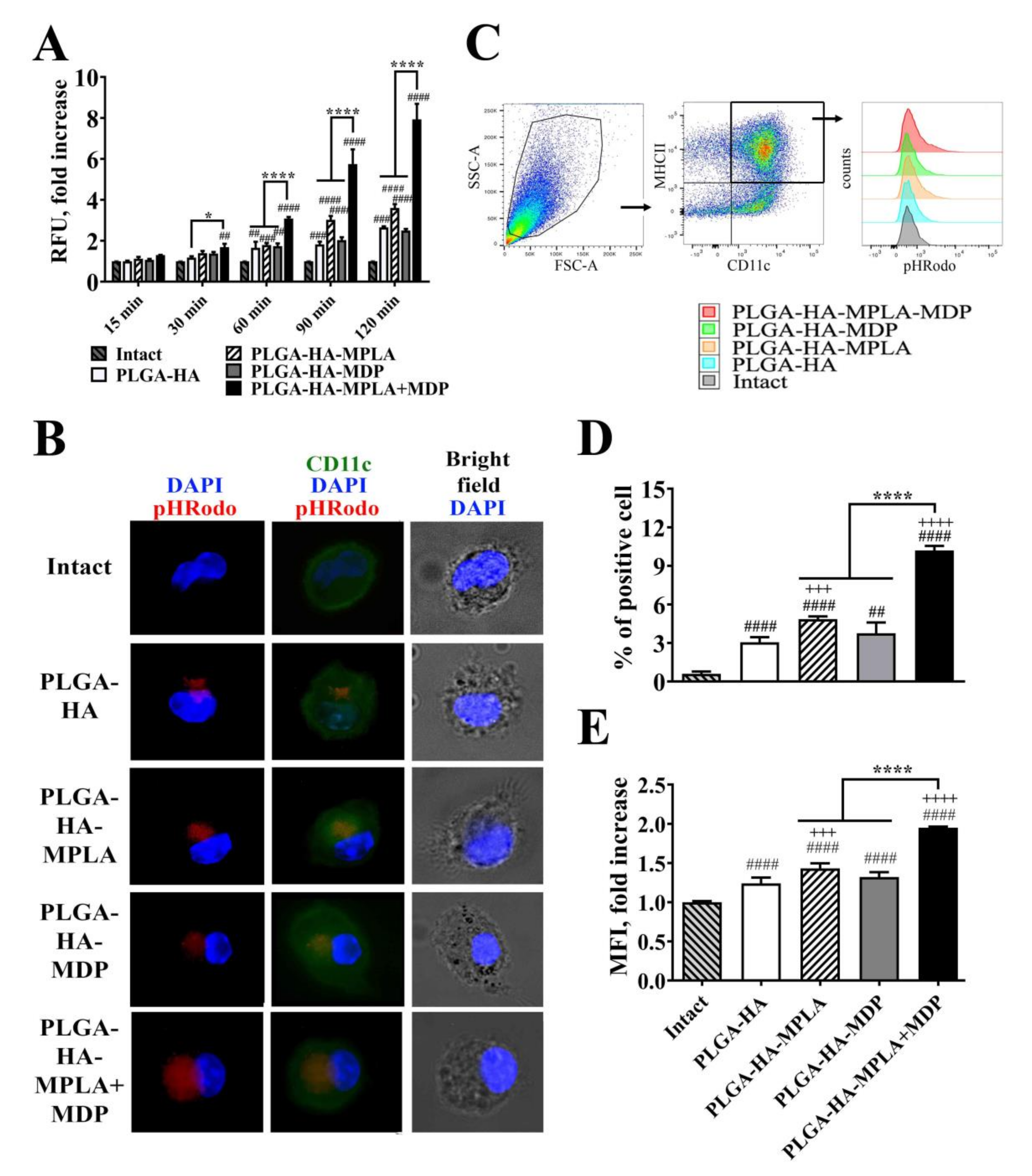 Vaccines 08 00519 g002