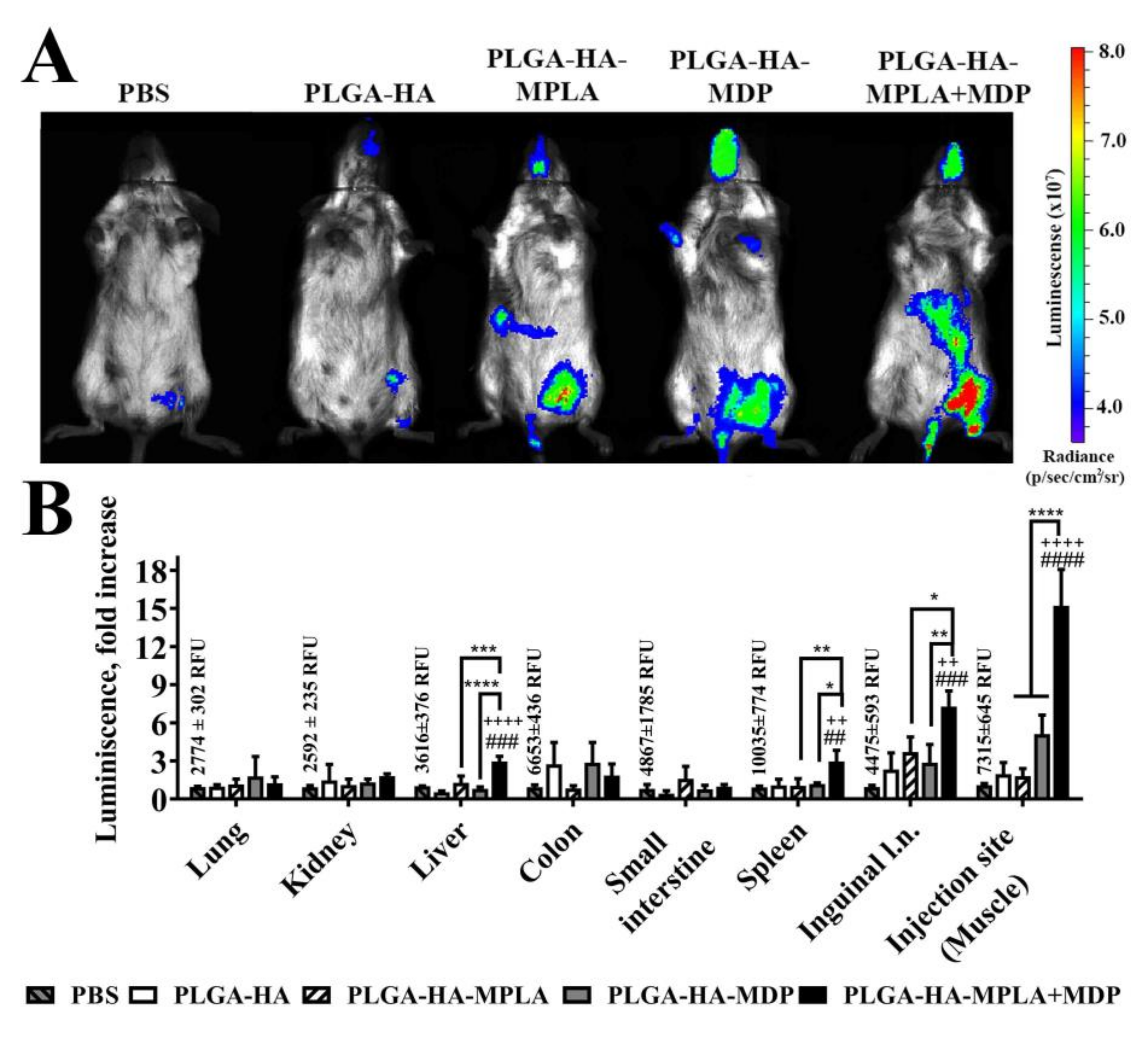 Vaccines 08 00519 g005