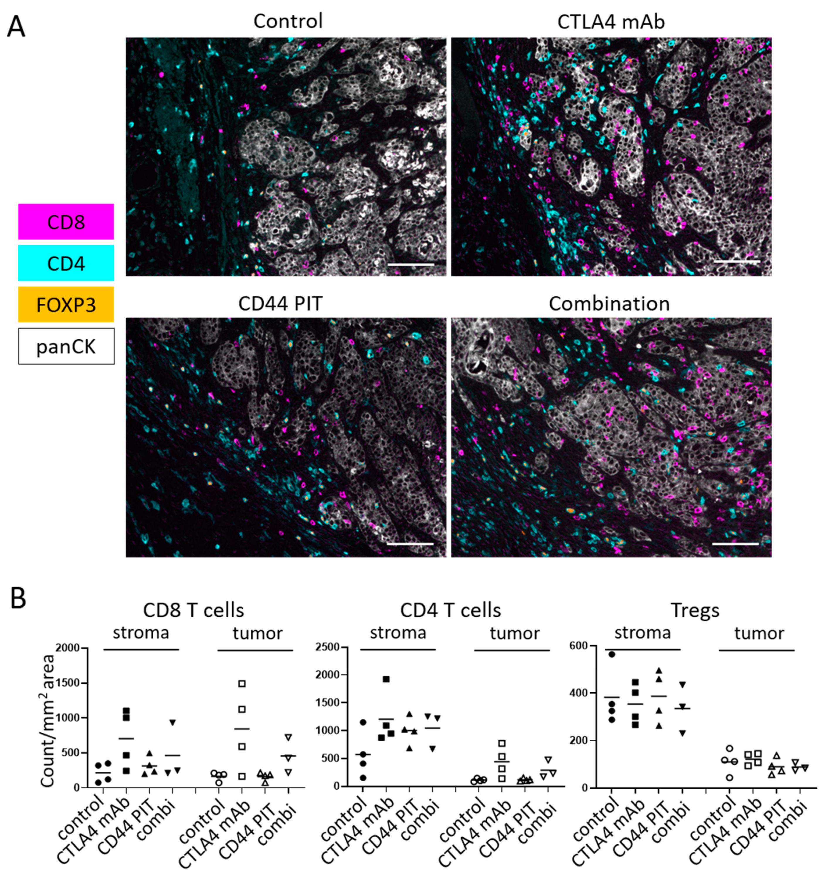 Vaccines 08 00528 g004