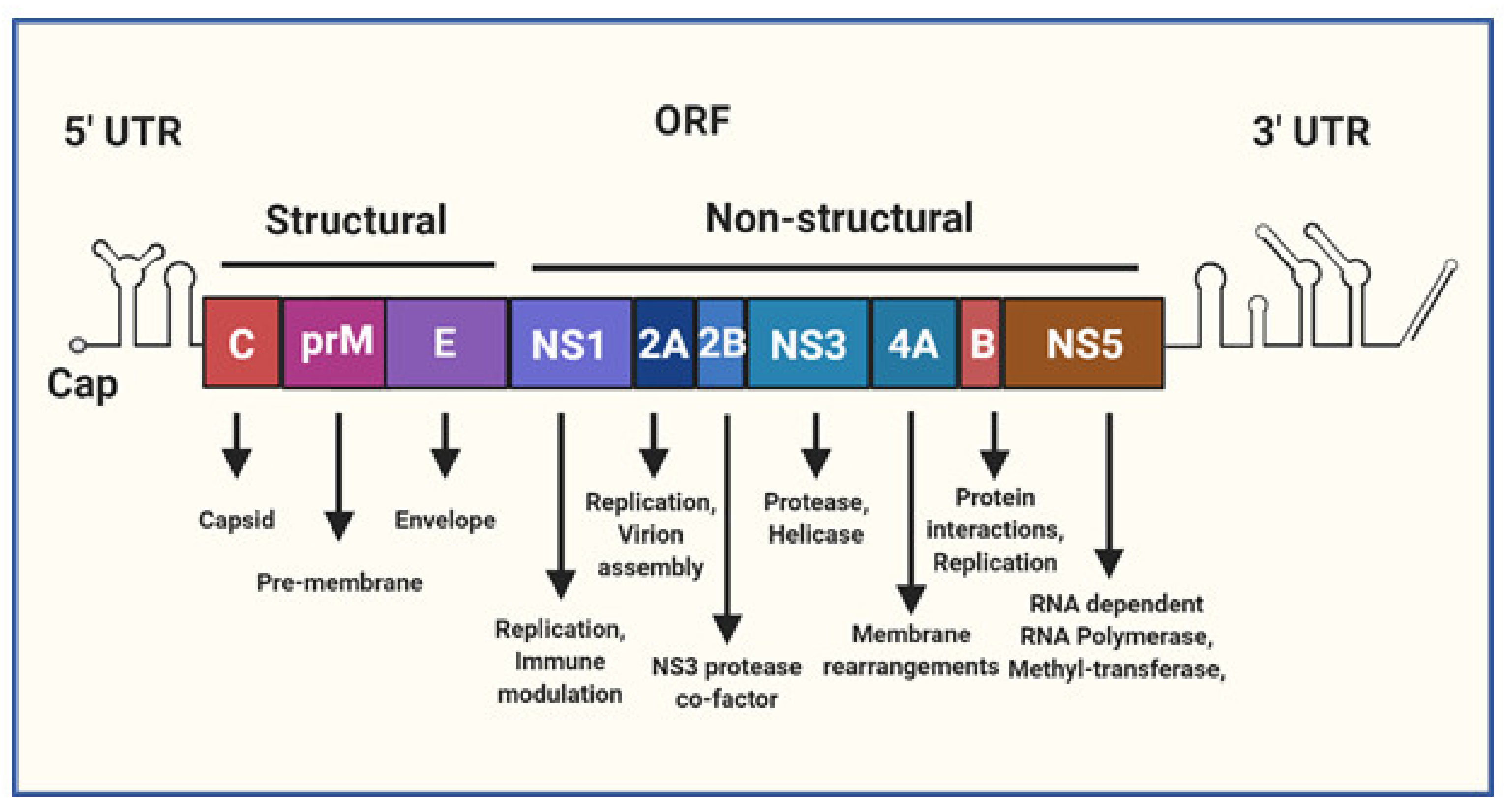 Vaccines 08 00530 g001 Vaccines 08 00530 g001