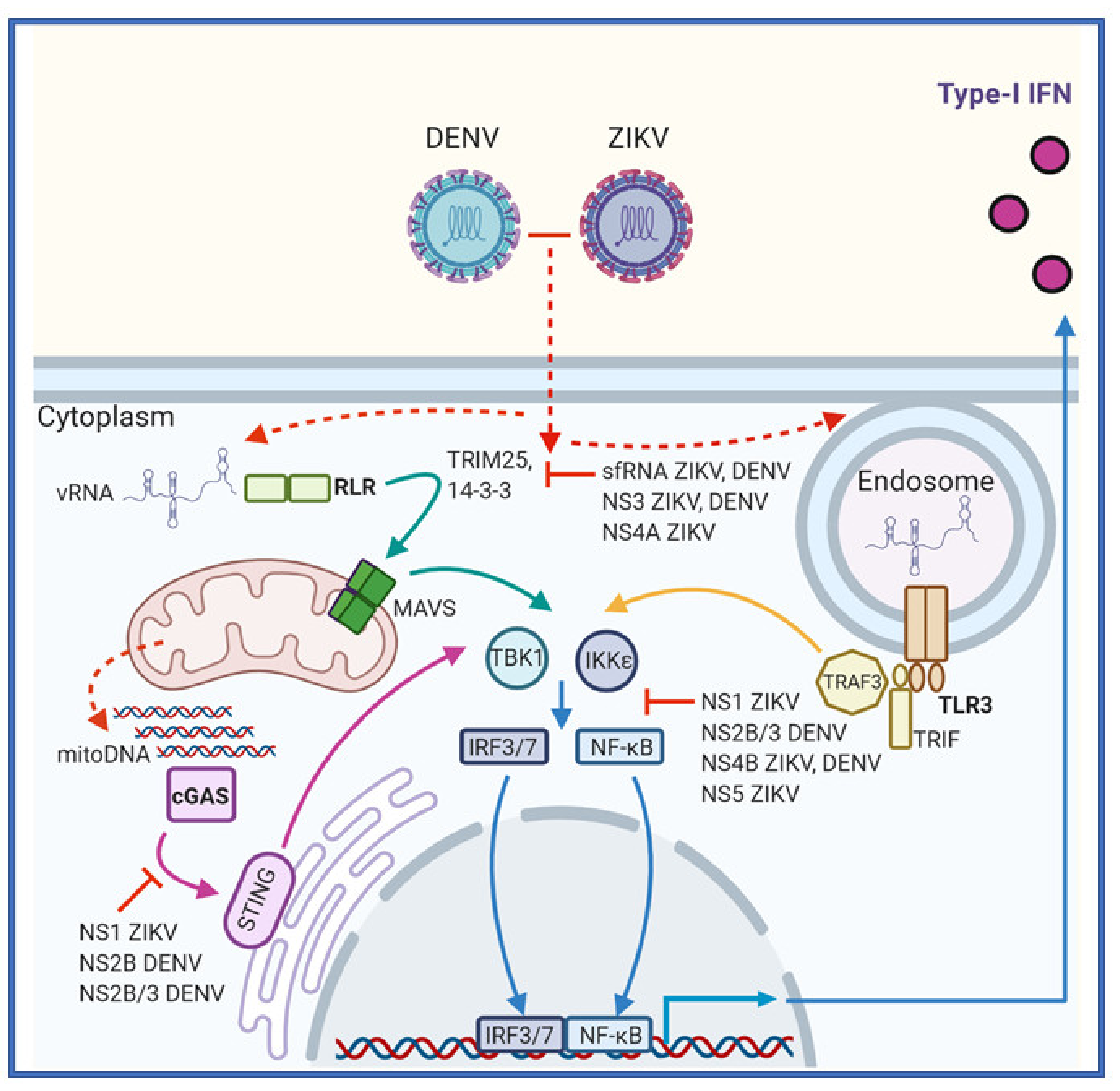 Vaccines 08 00530 g003 Vaccines 08 00530 g003