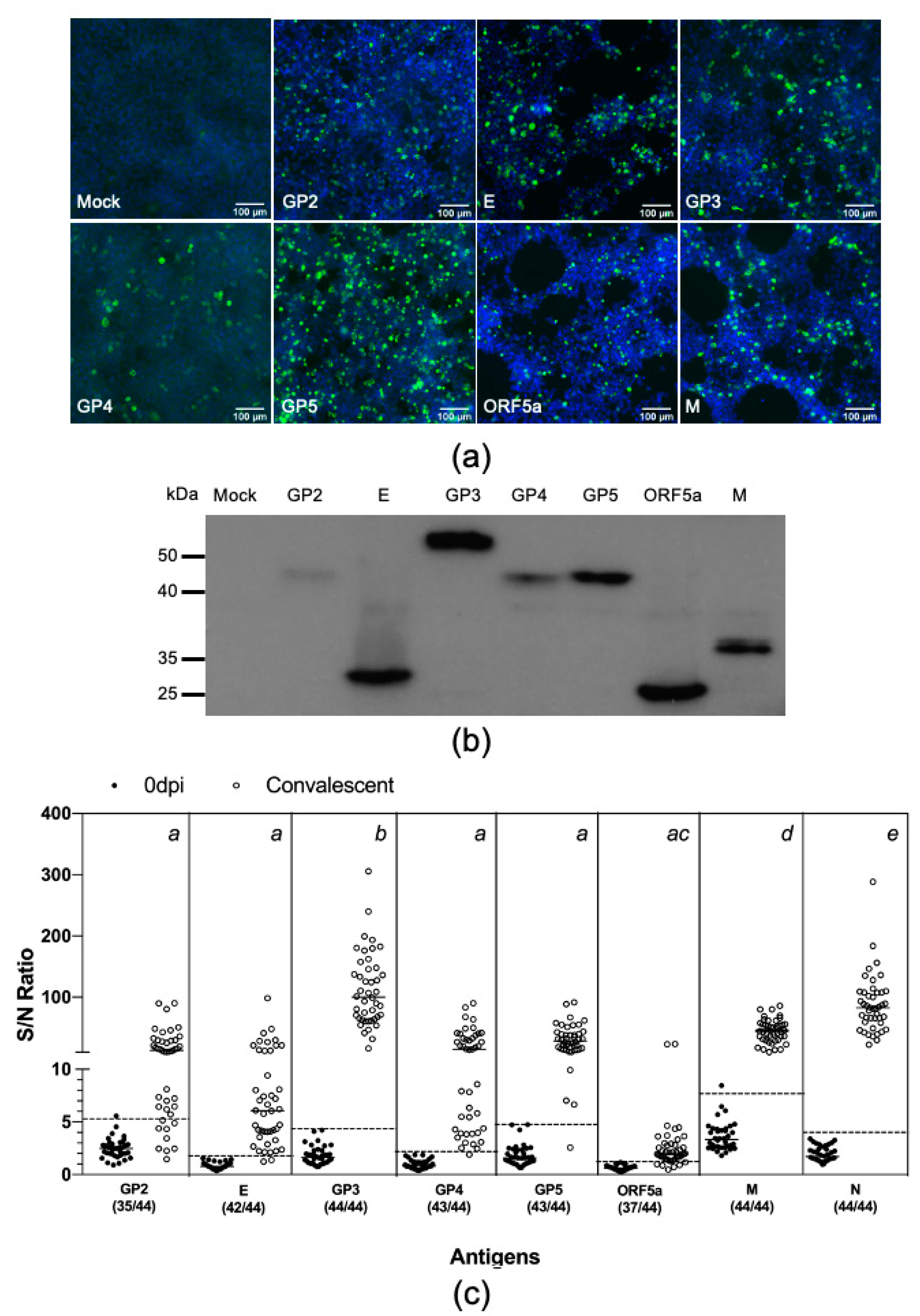 Vaccines 08 00533 g003