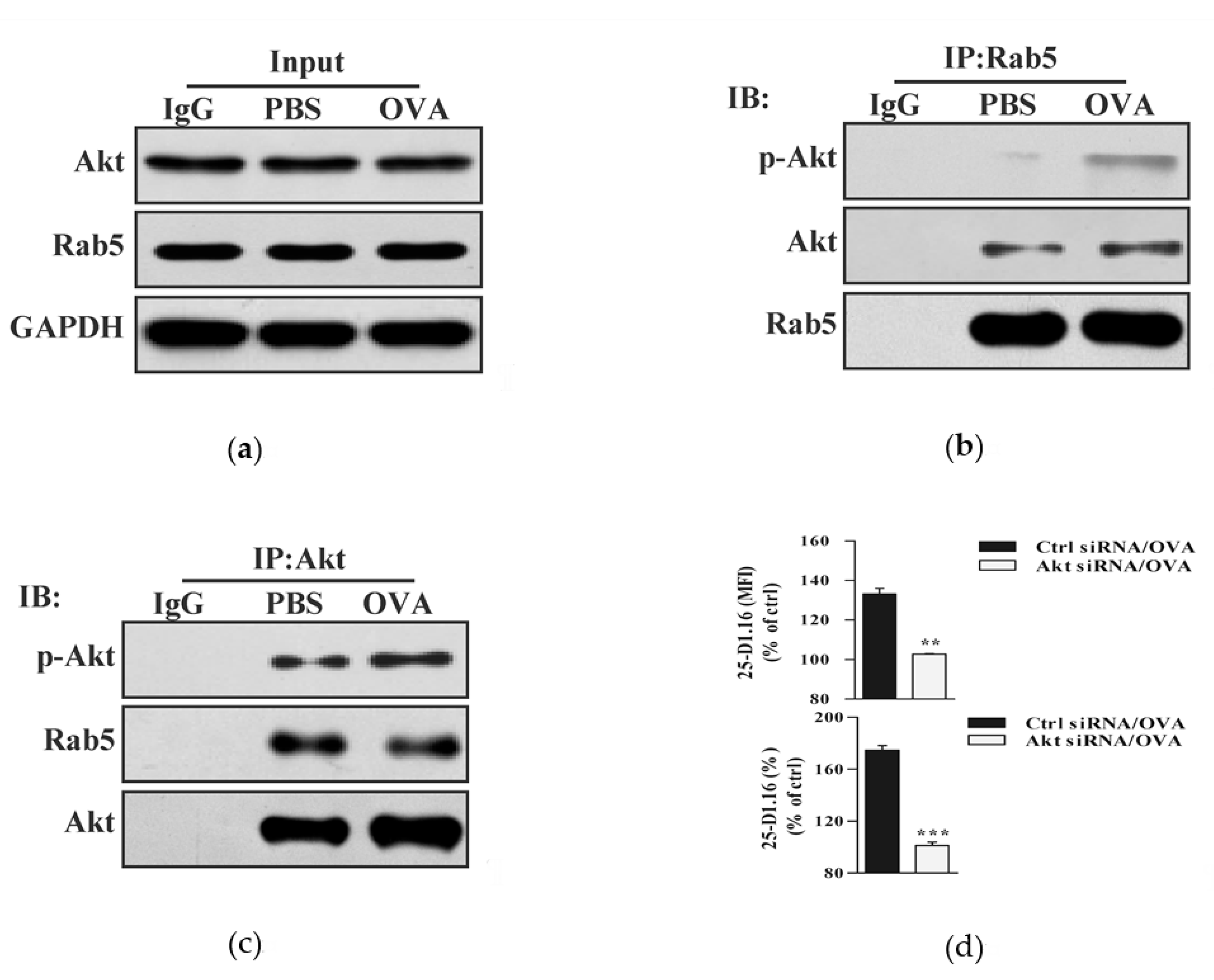 Vaccines 08 00539 g002 Vaccines 08 00539 g002