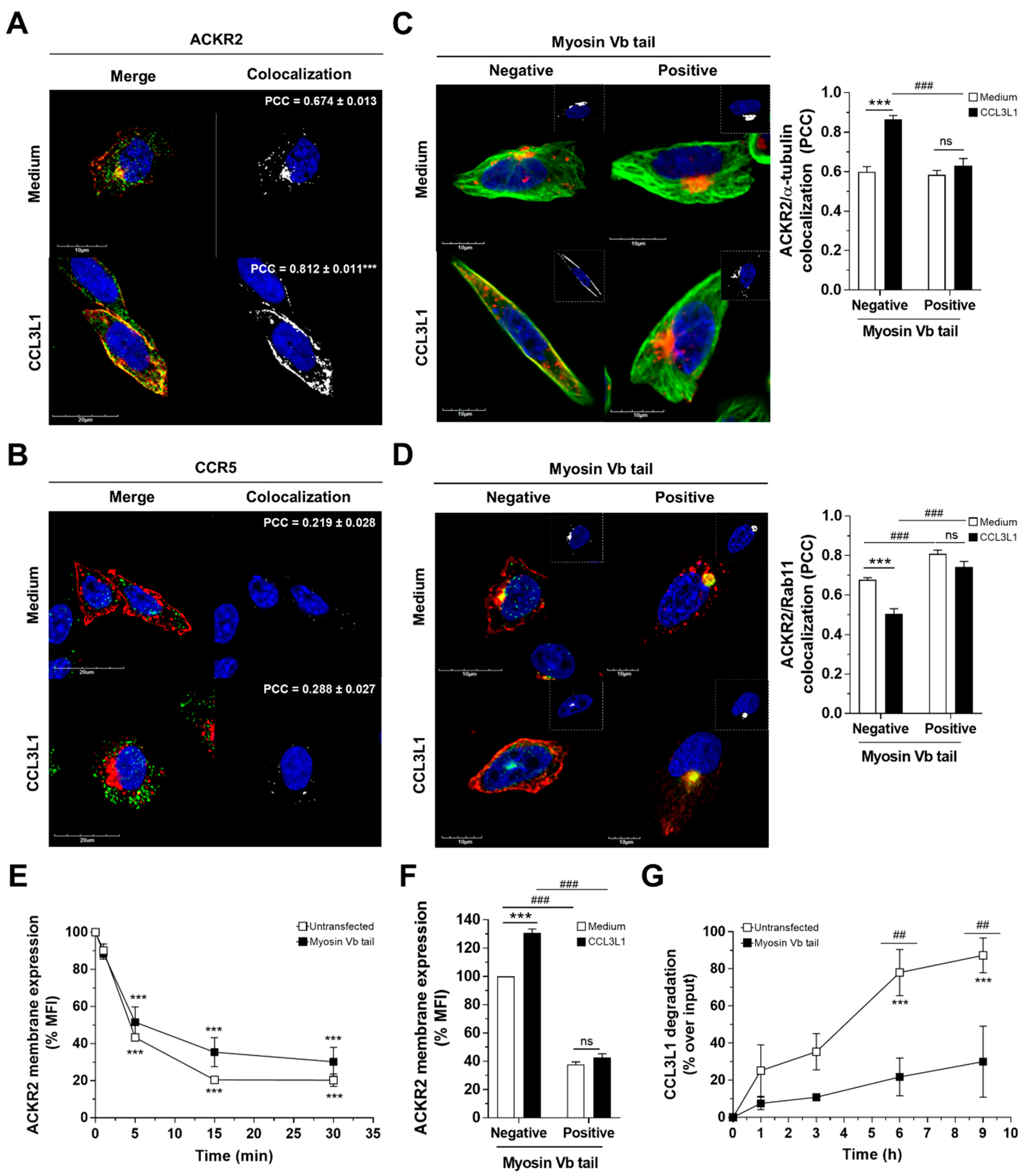 Vaccines 08 00542 g004
