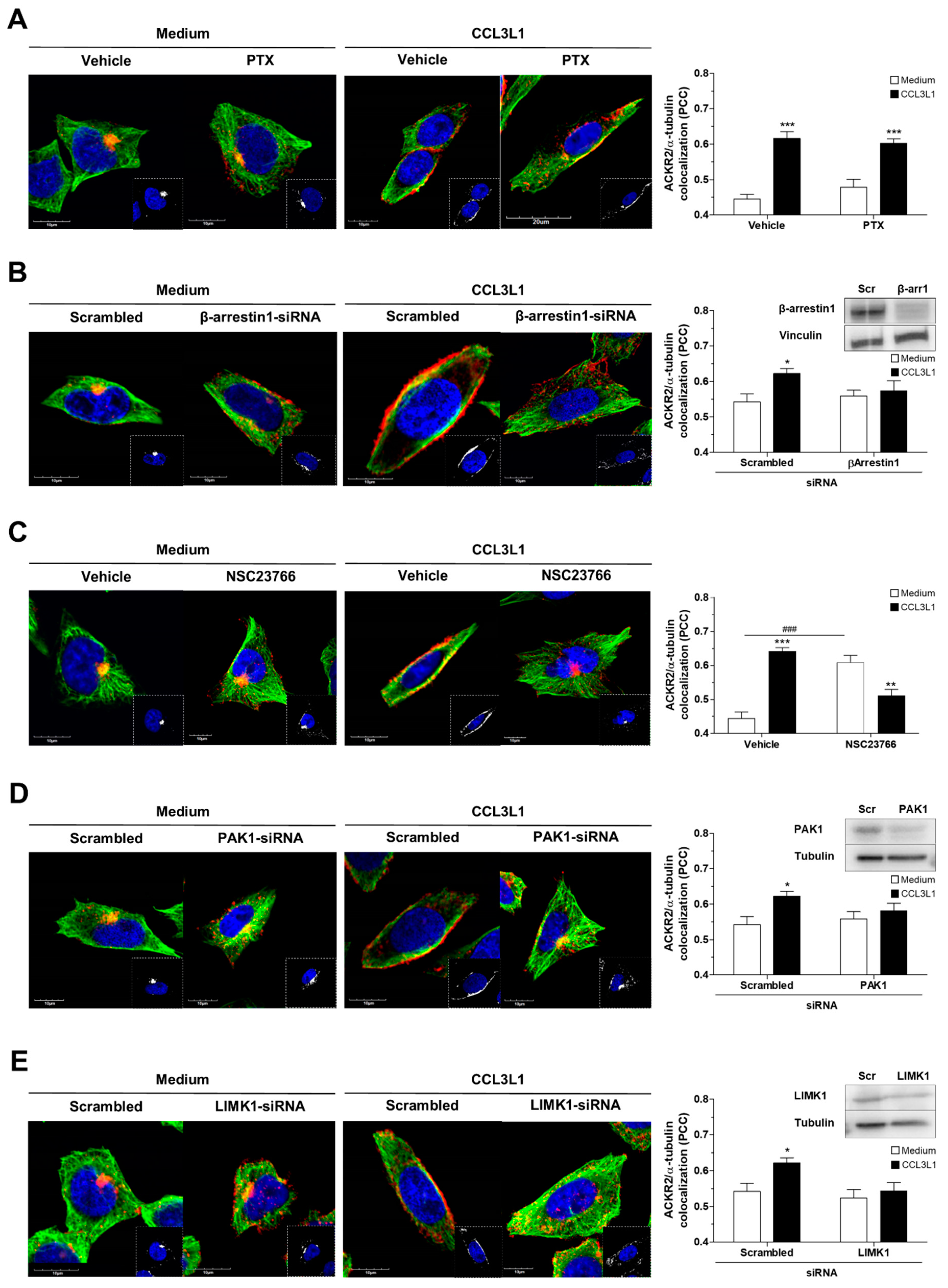 Vaccines 08 00542 g005