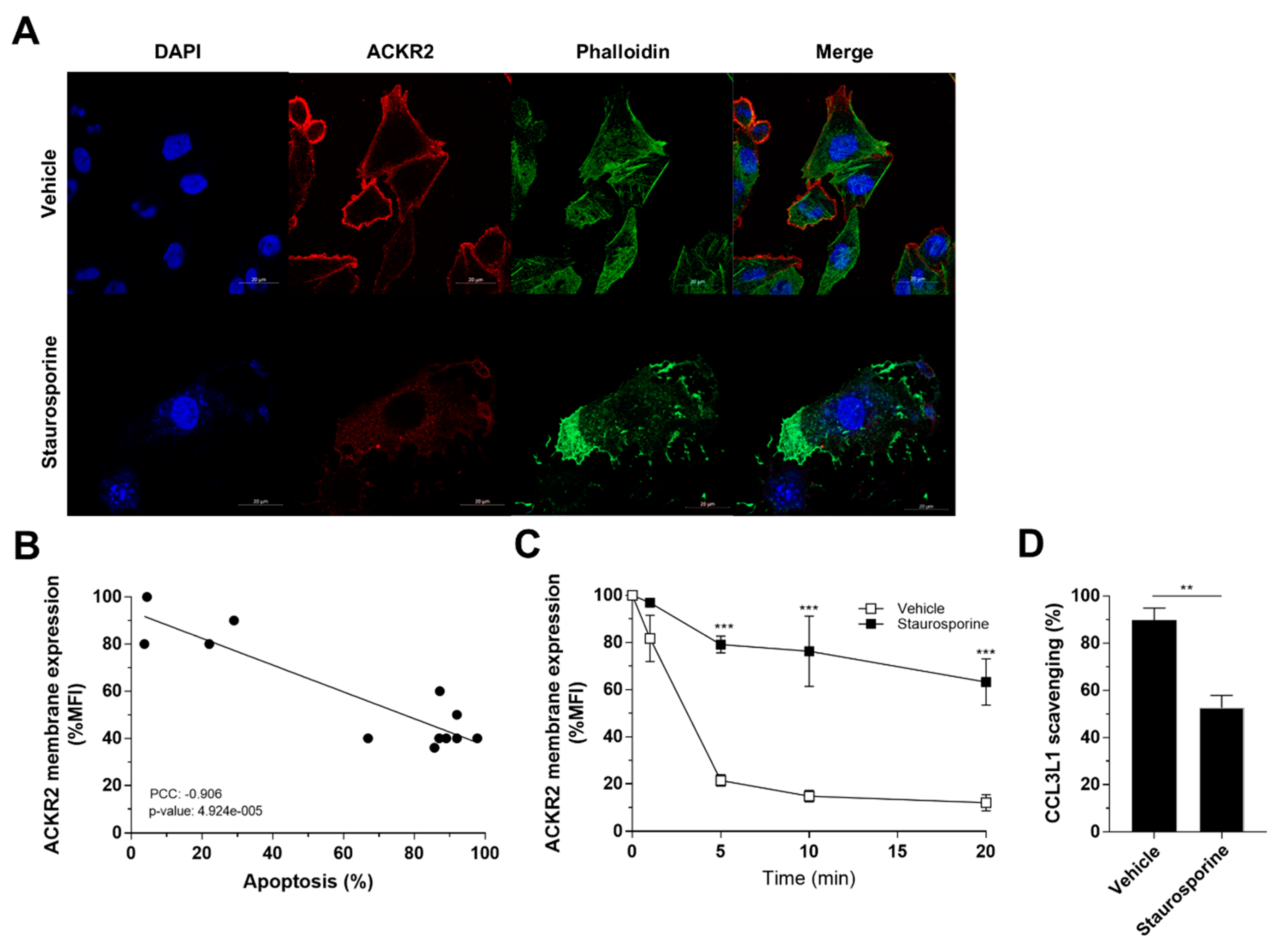 Vaccines 08 00542 g006