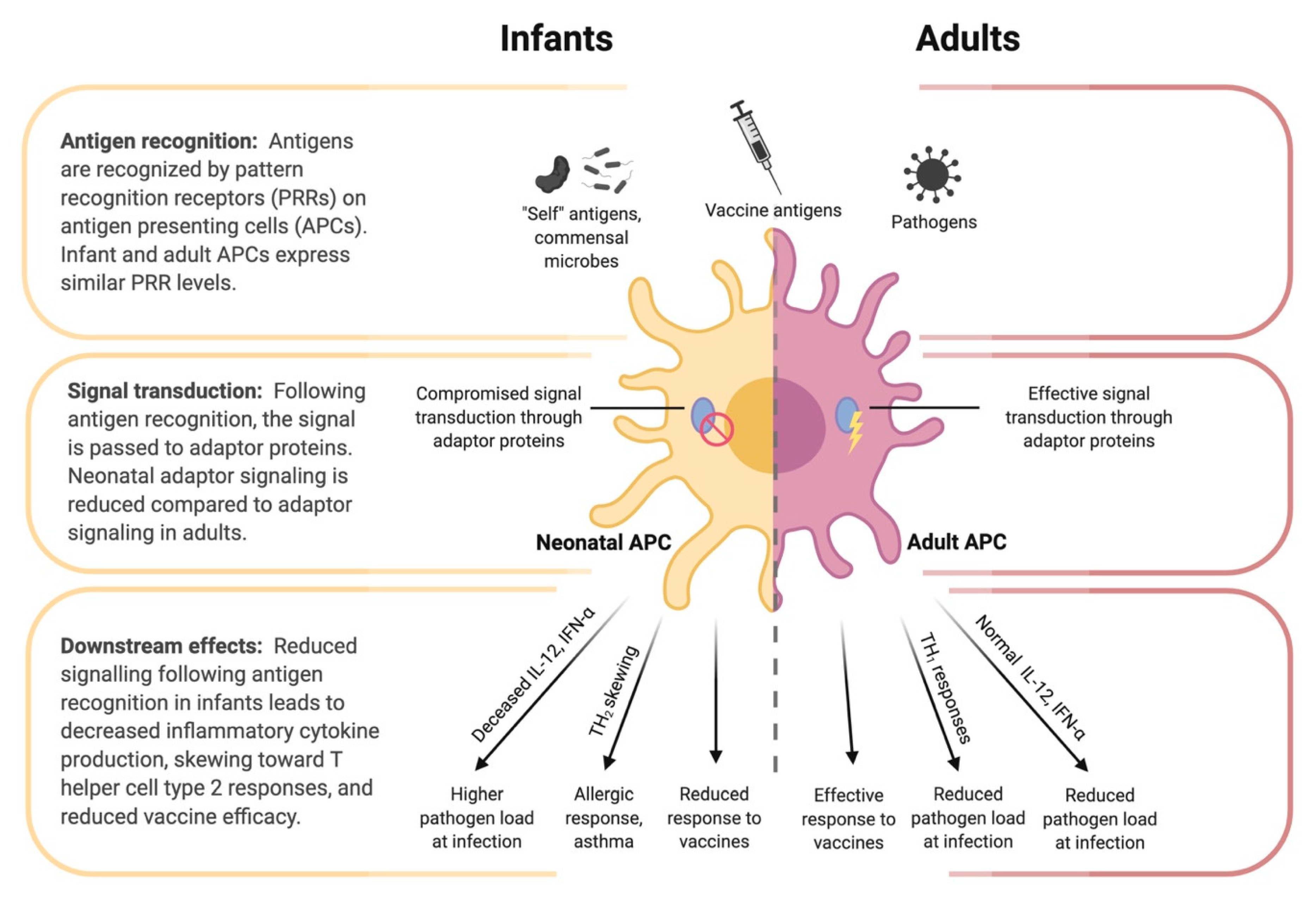 Vaccines 08 00546 g003 Vaccines 08 00546 g003