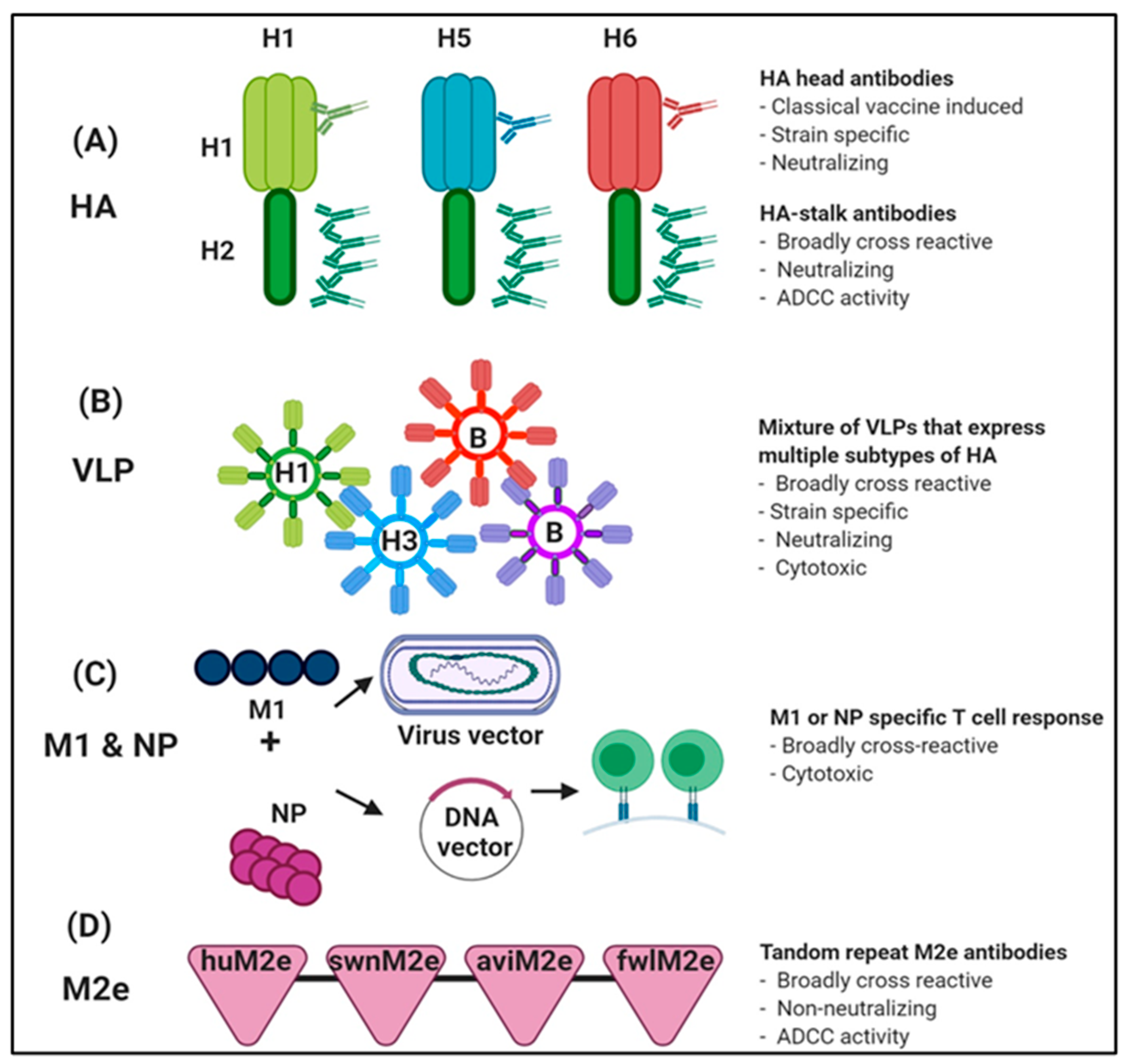 Vaccines 08 00548 g004