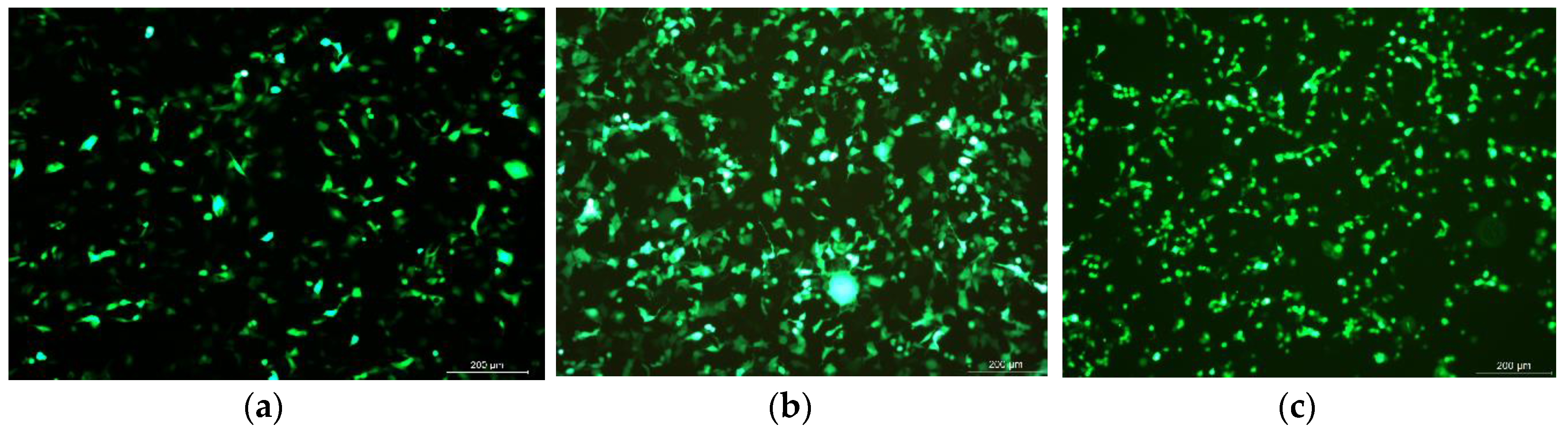 Vaccines 08 00552 g003