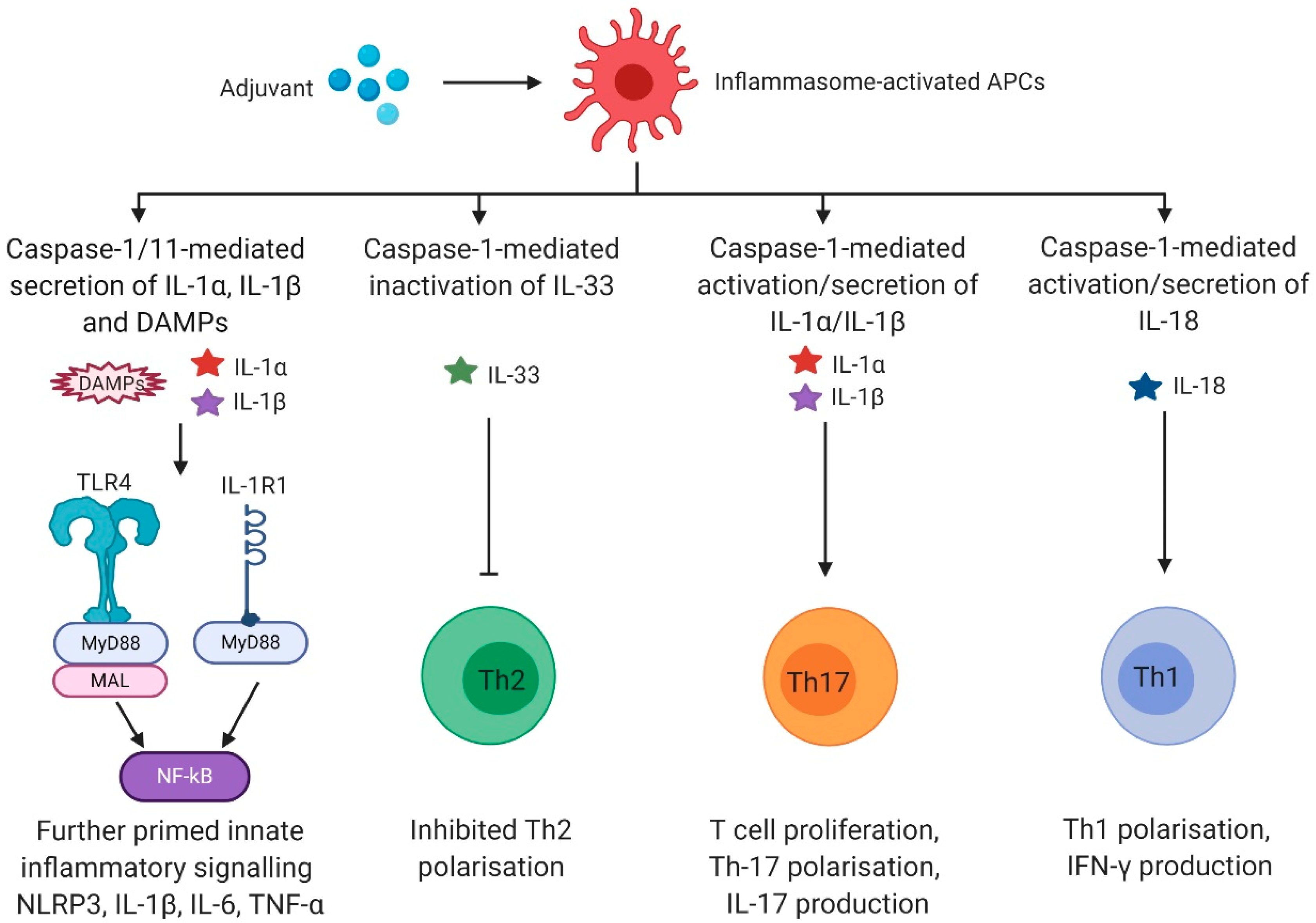 Vaccines 08 00554 g002 Vaccines 08 00554 g002