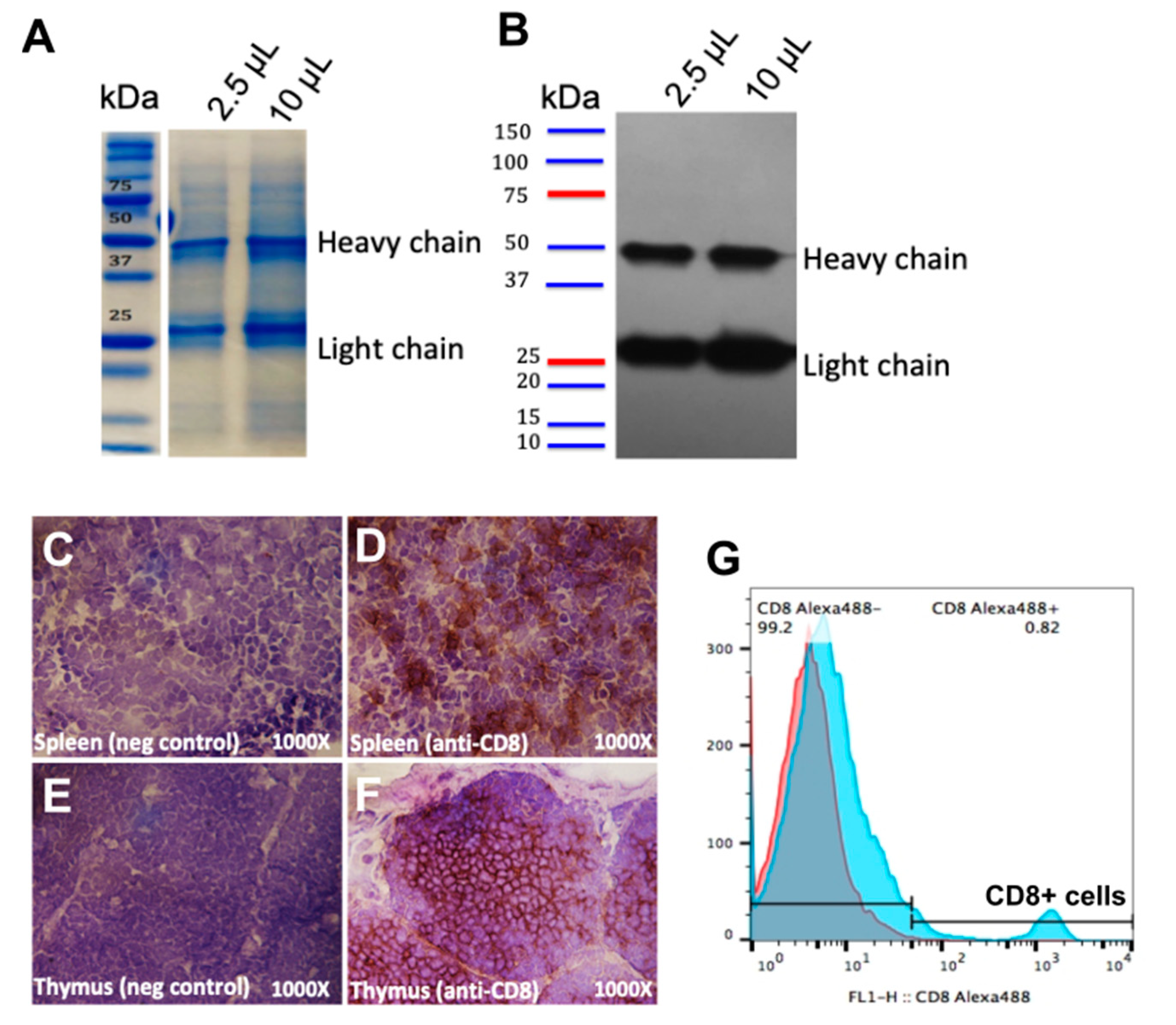 Vaccines 08 00557 g002 Vaccines 08 00557 g002