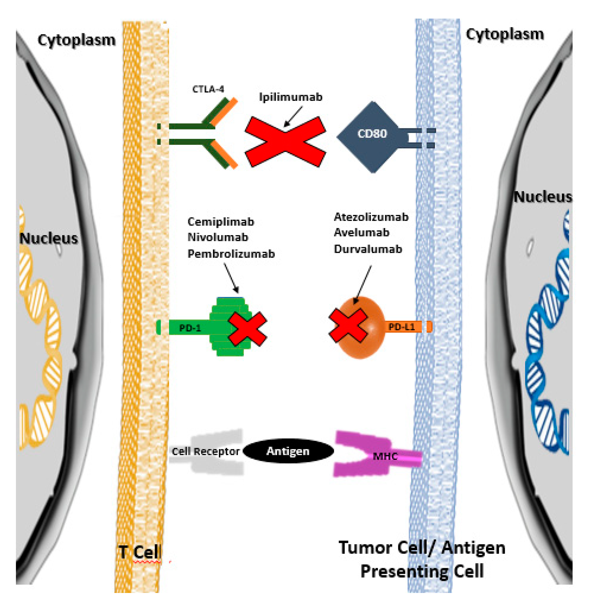 Vaccines 08 00575 g001