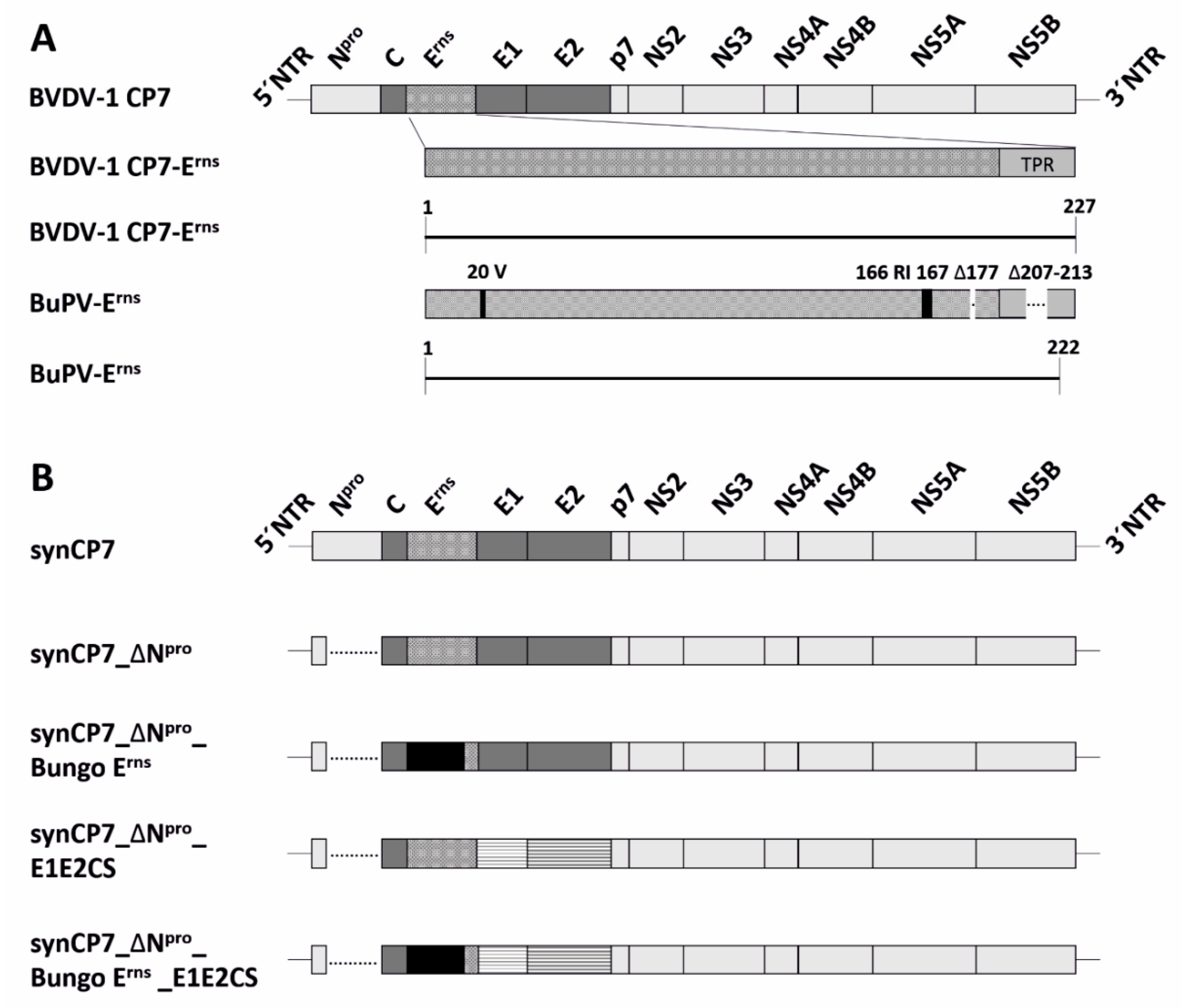 Oh fax zomer Vaccines | Free Full-Text | A Synthetic Modified Live Chimeric Marker  Vaccine against BVDV-1 and BVDV-2