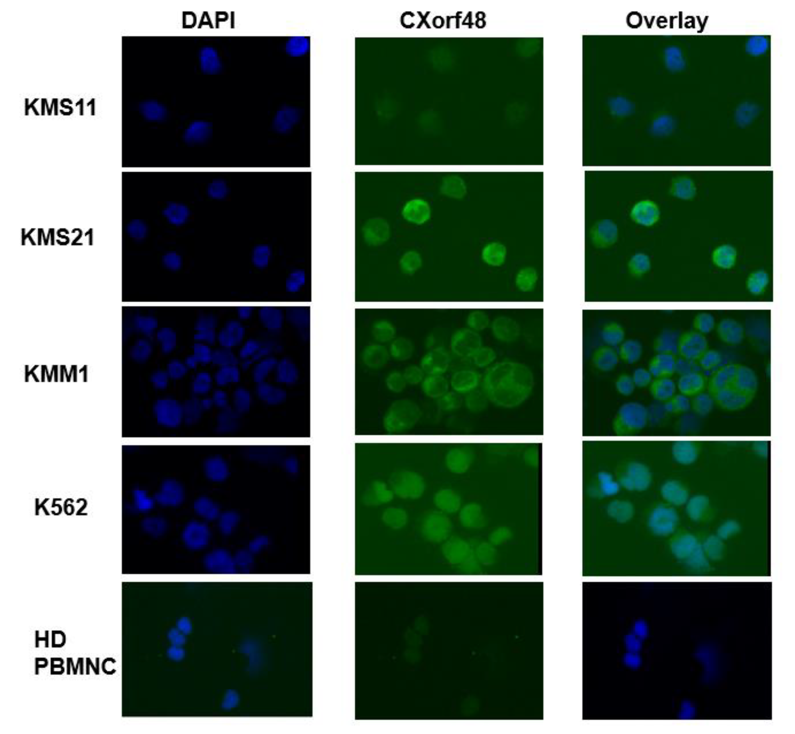 Vaccines 08 00579 g002