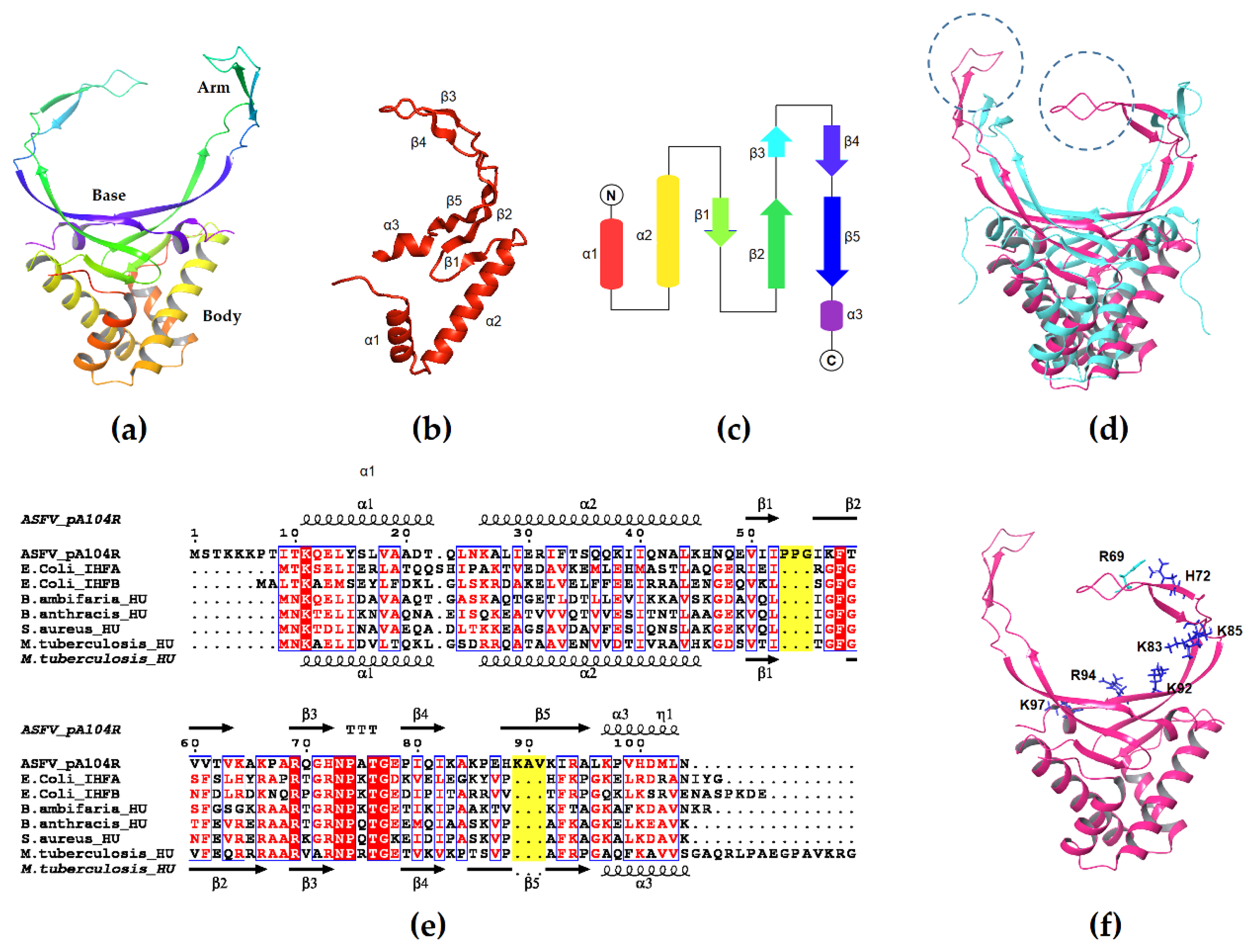 Vaccines Free Full Text Role Of The Dna Binding Protein Pa104r In Asfv Genome Packaging And As A Novel Target For Vaccine And Drug Development Html