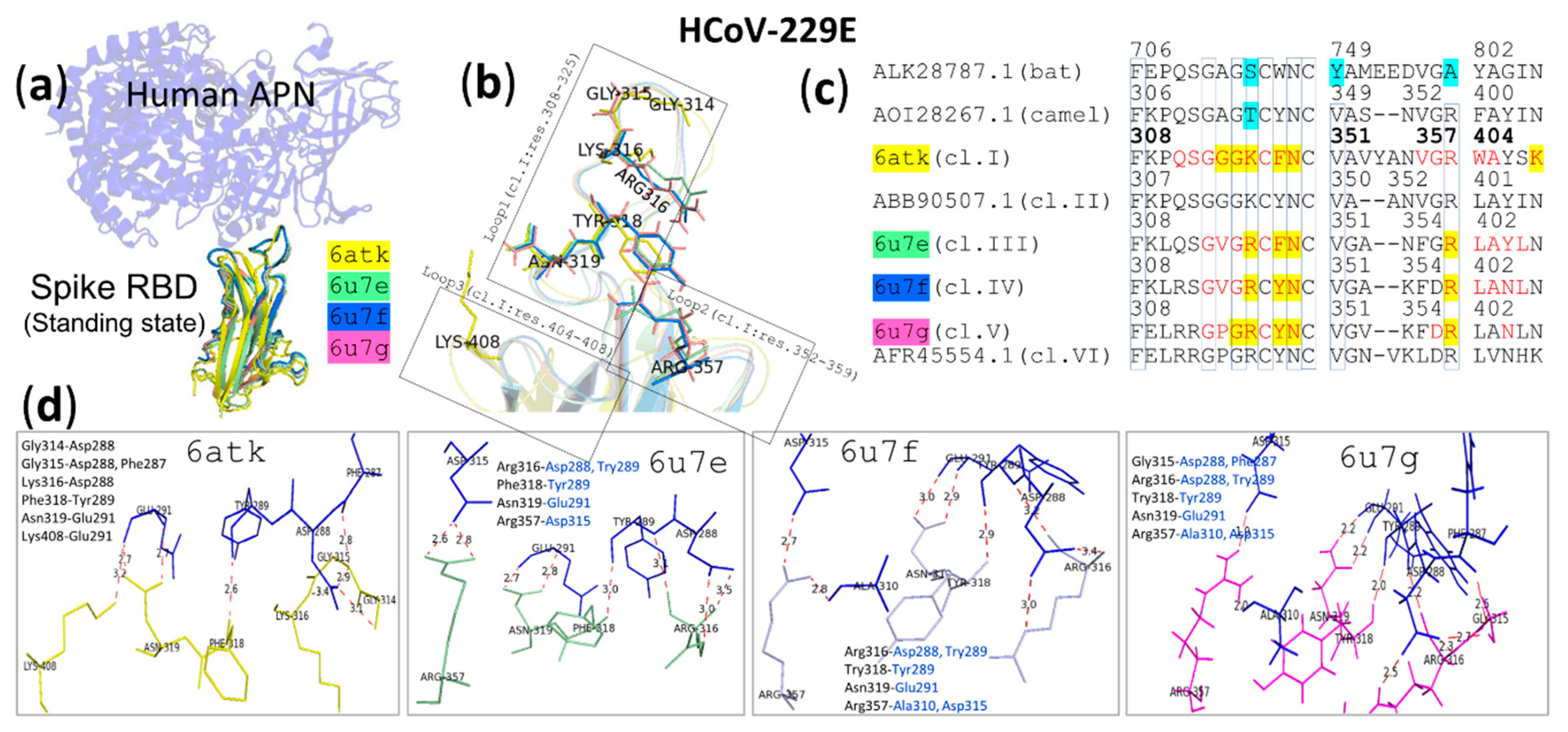 Vaccines 08 00587 g007 Vaccines 08 00587 g007